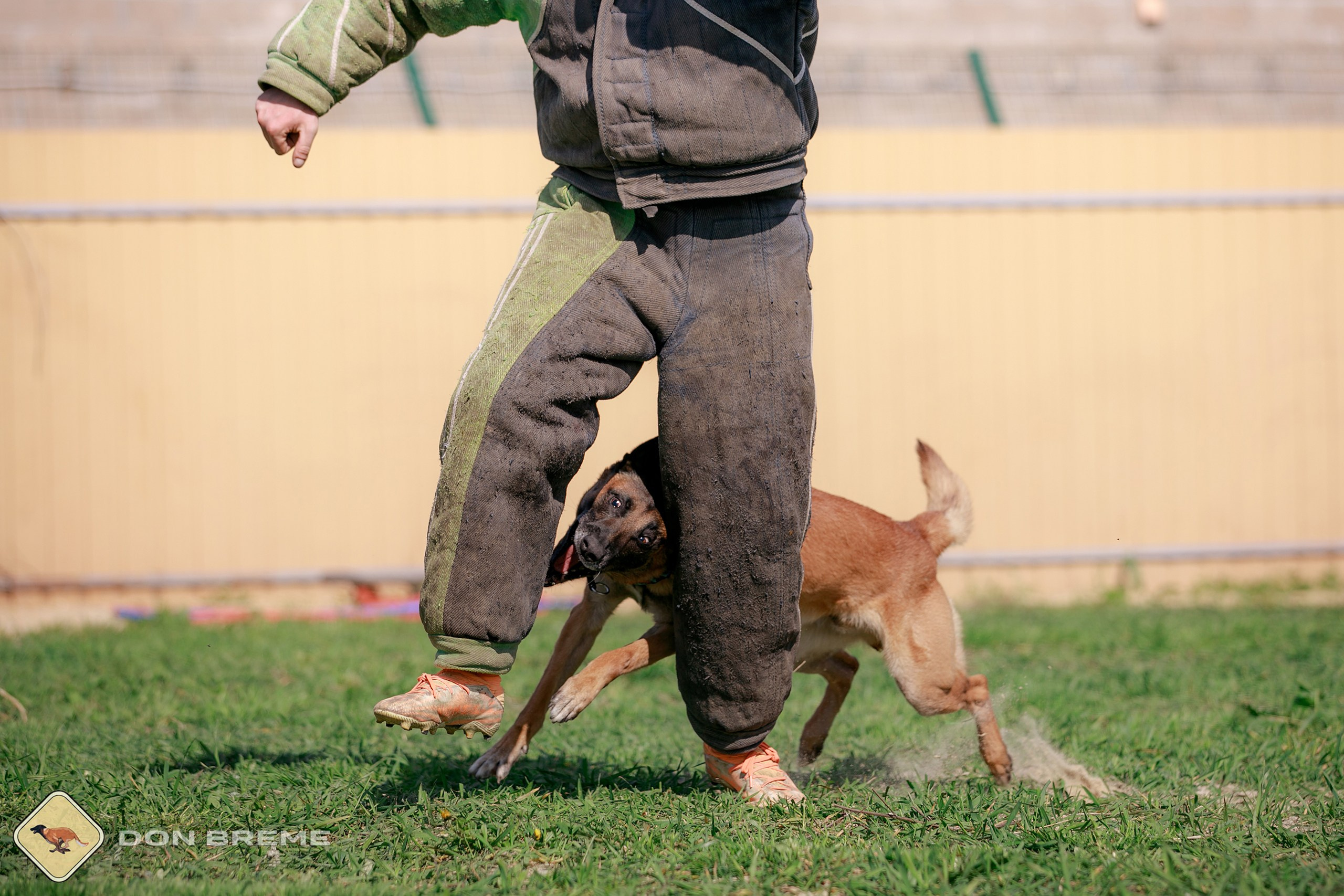 Семинар для фигурантов, день 4. Фотограф-анималист Mary Mart — Москва, Питер
