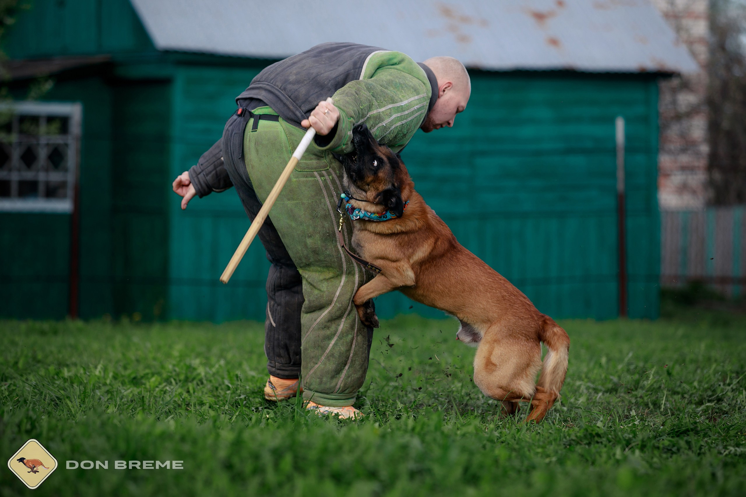 Семинар для фигурантов, день 2. Фотограф-анималист Mary Mart — Москва, Питер