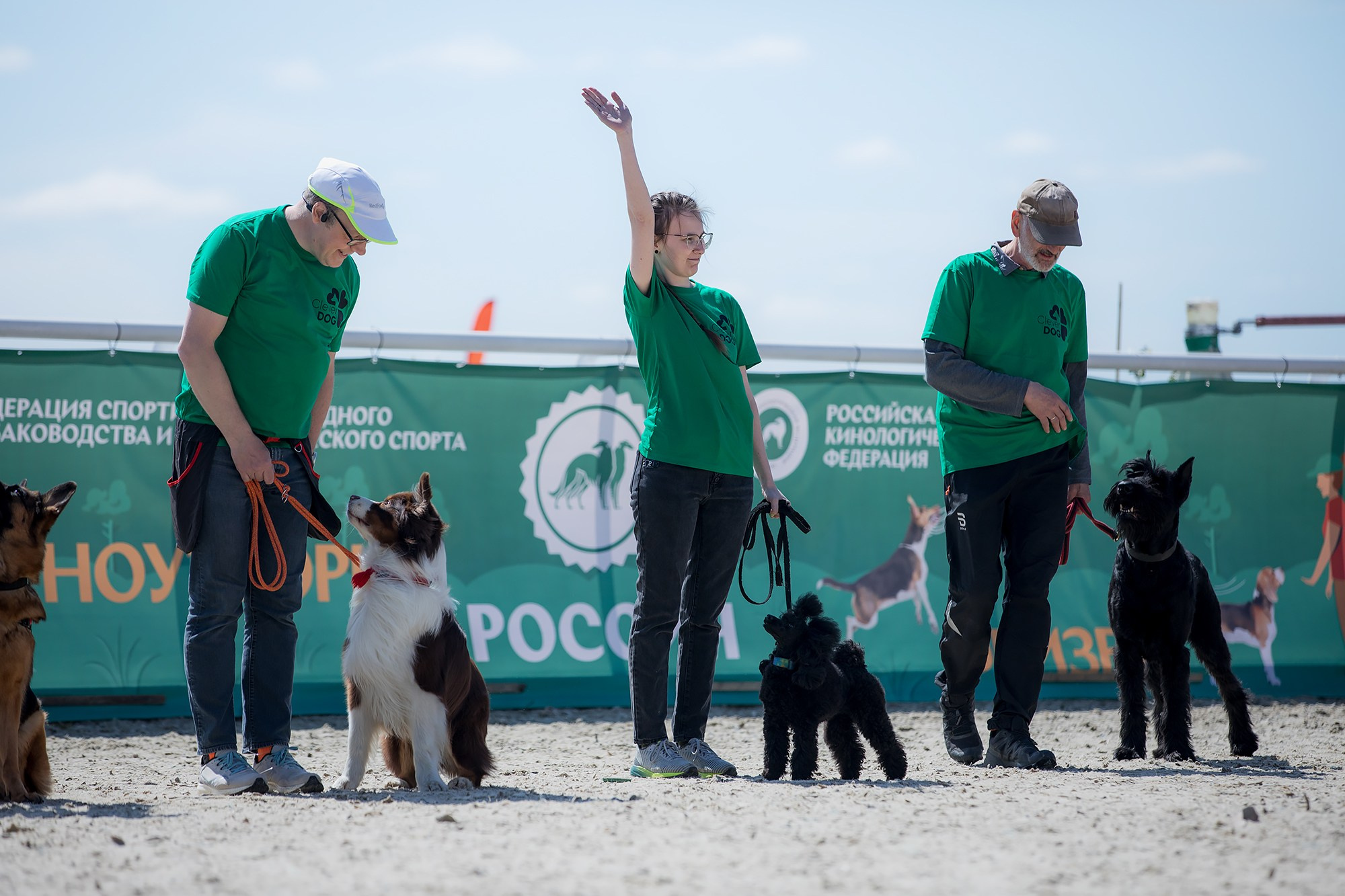 Показательные выступления по NoseWork на выставке «Россия». Фотограф-анималист Mary Mart — Москва, Питер