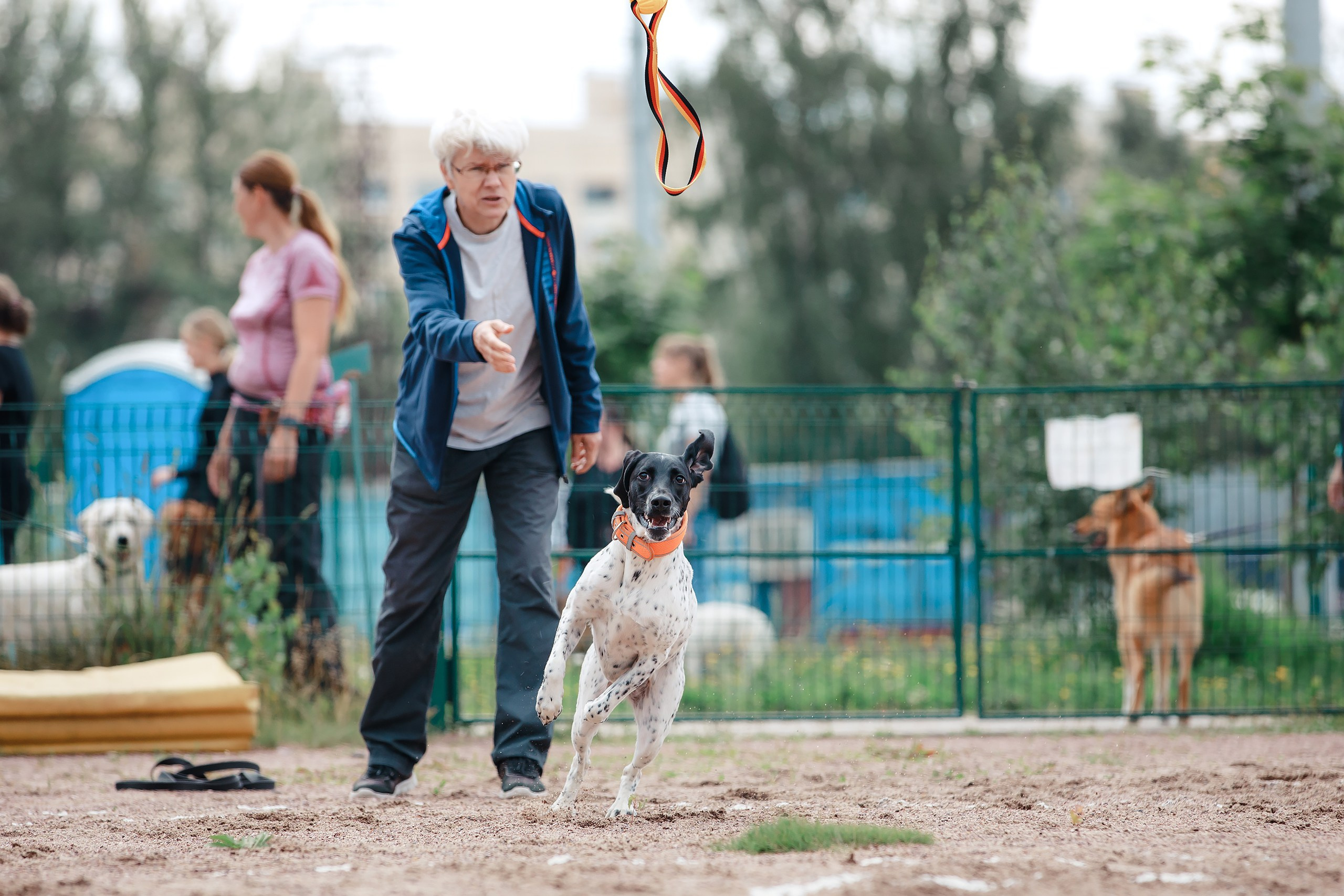 Питч&Гоу + веселые старты. Фотограф-анималист Mary Mart — Москва, Питер