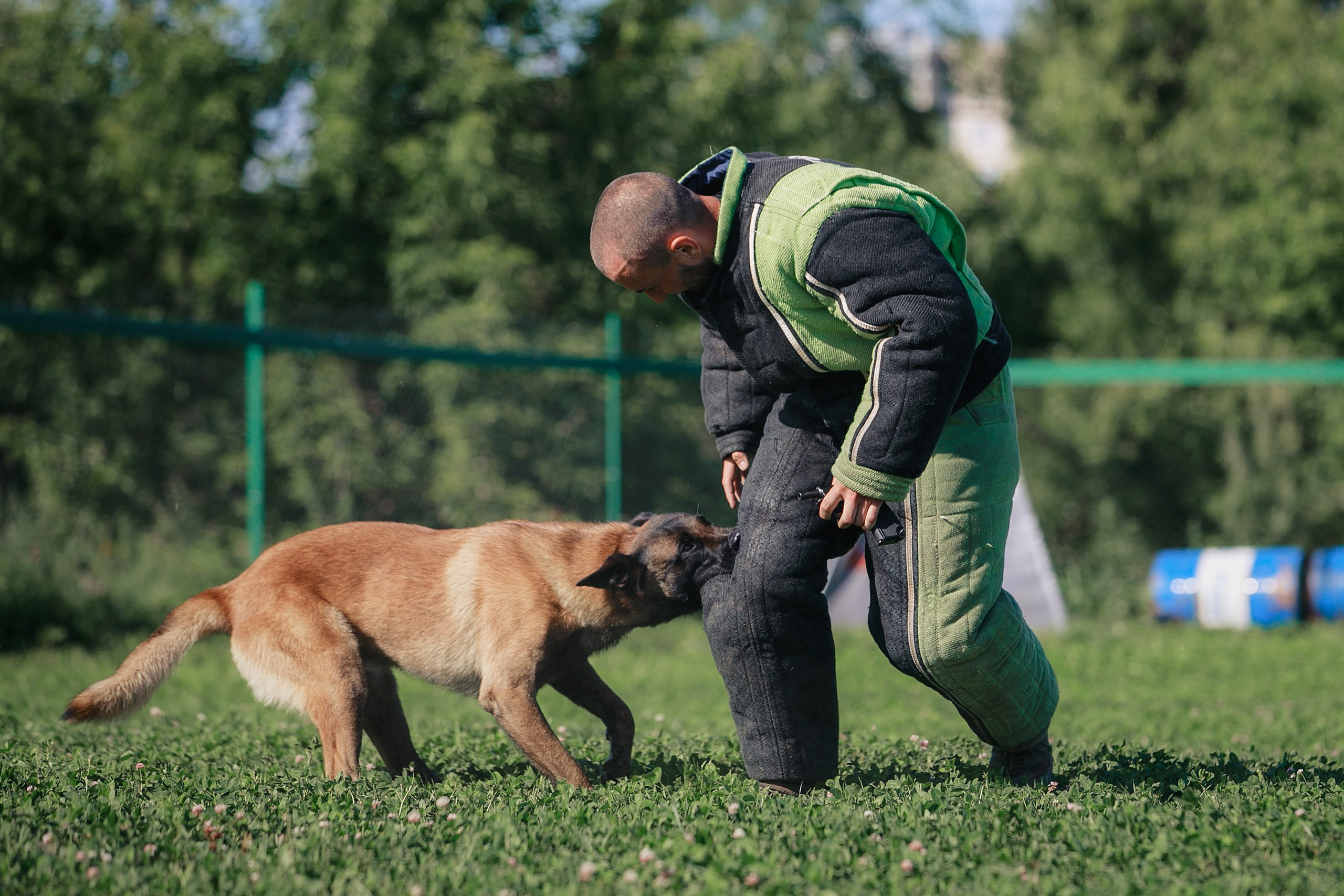 Мондьоринг М1, М2, М3, Вологда. Фотограф-анималист Mary Mart — Москва, Питер