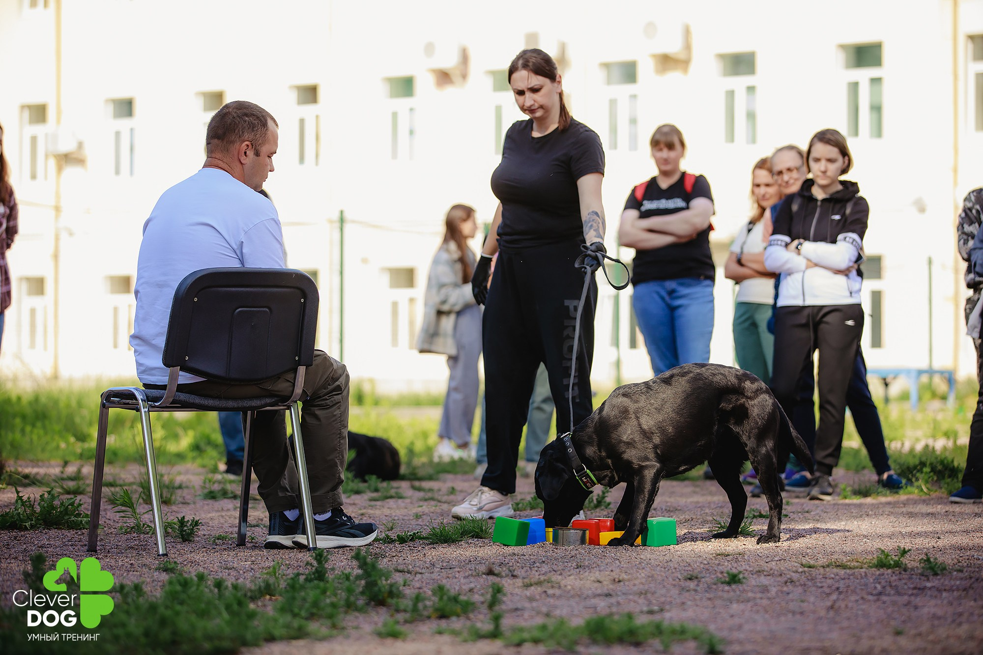Семинар по поиску запаха с Иваном Ломовым, организатор CleverDog, СПб. Фотограф-анималист Mary Mart — Москва, Питер