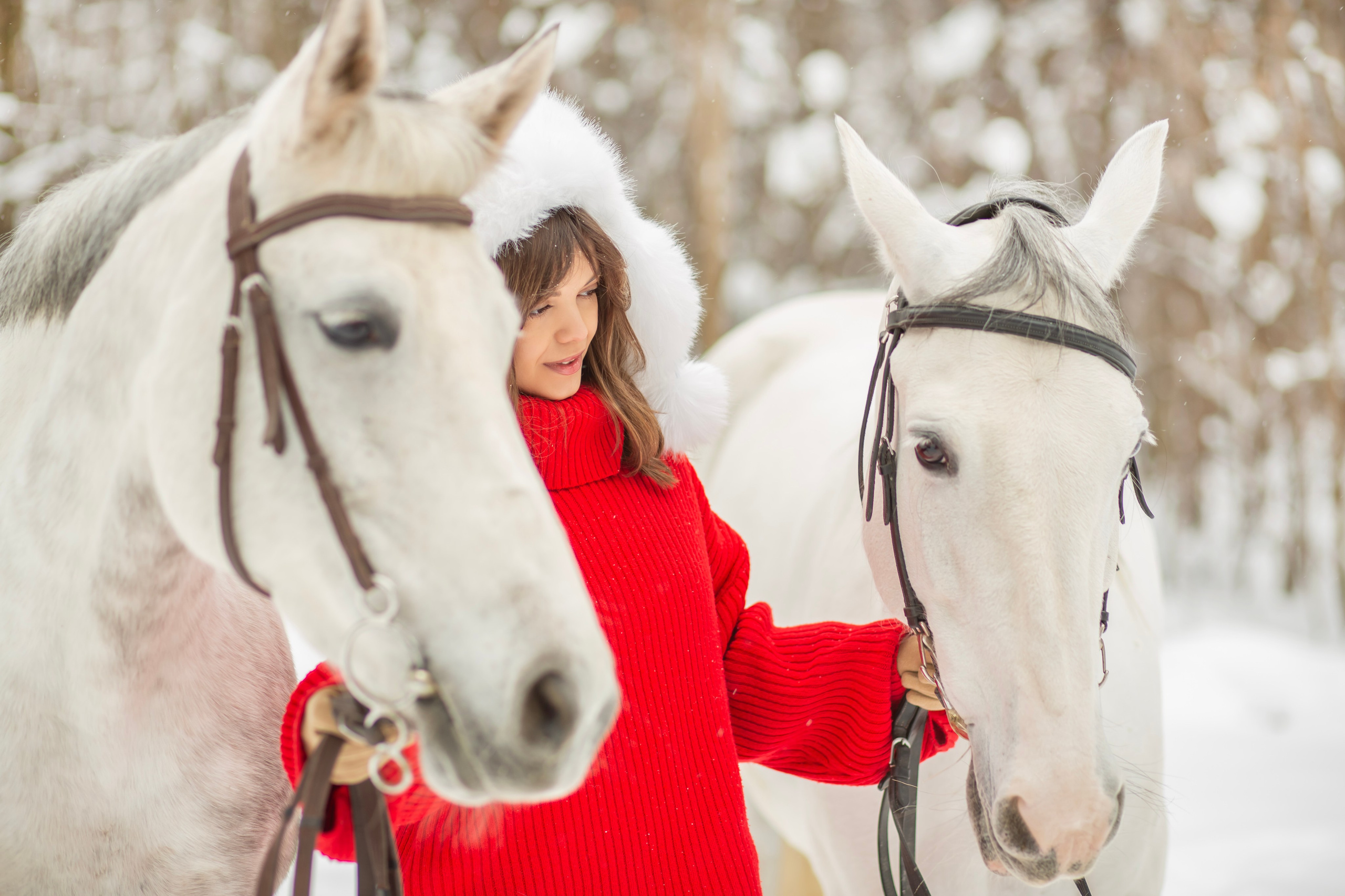 Год лошади. Семейный и детский фотограф в Москве и МО — Александра