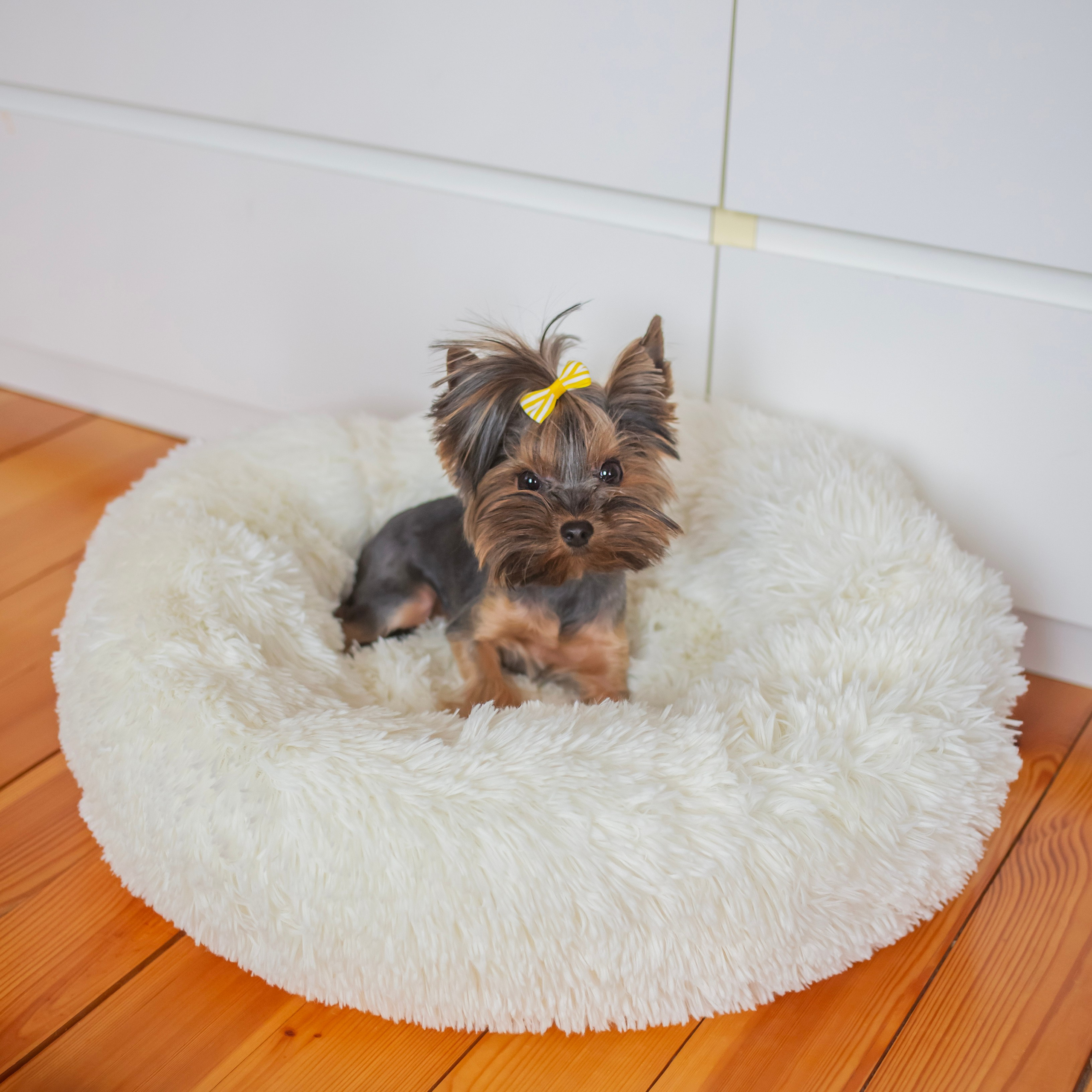 Предметная съемка. Семейный и детский фотограф в Москве и МО — Александра