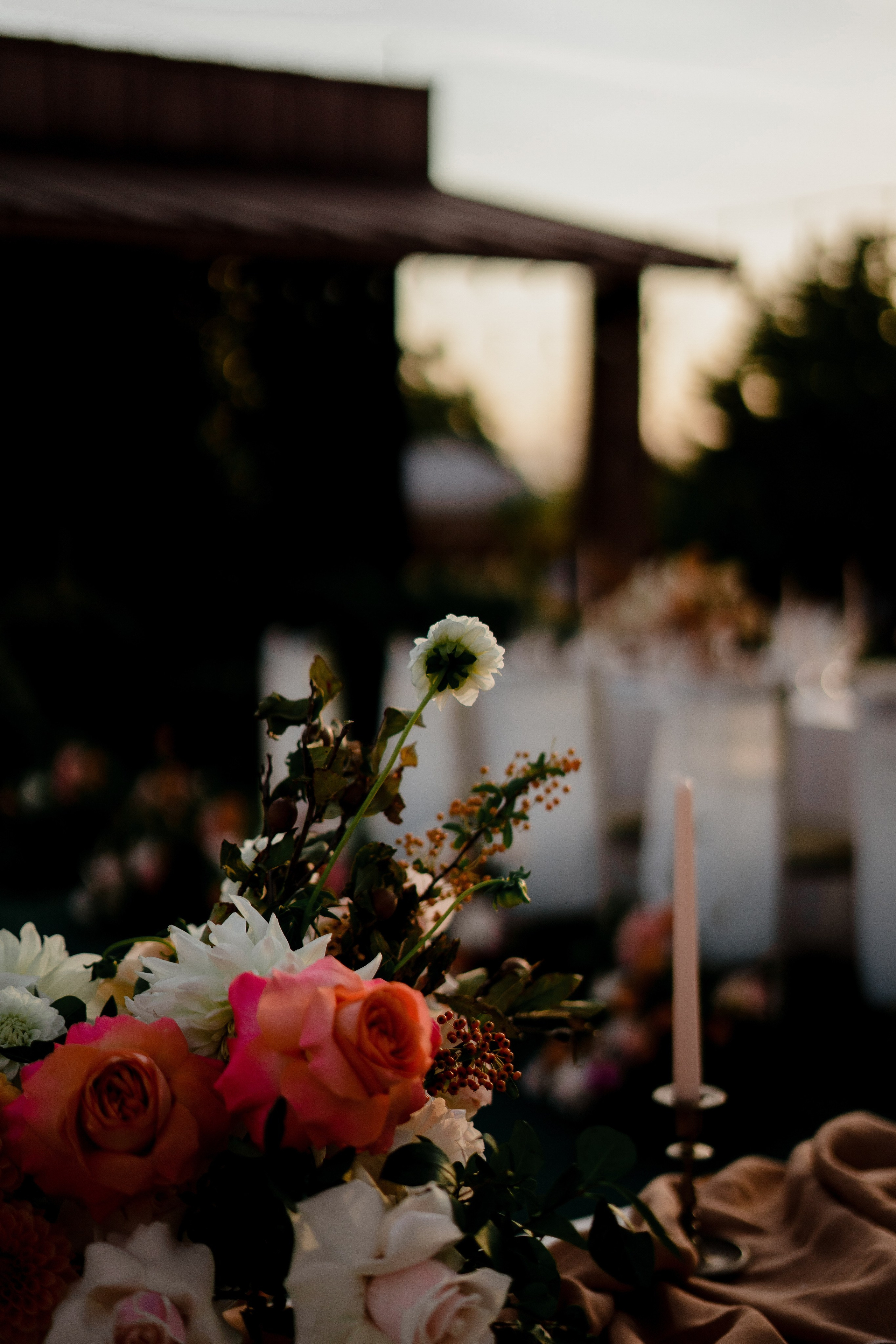 Wedding at the winery. Портретный и семейный фотограф в Мариуполе, РФ. Даша Жогло