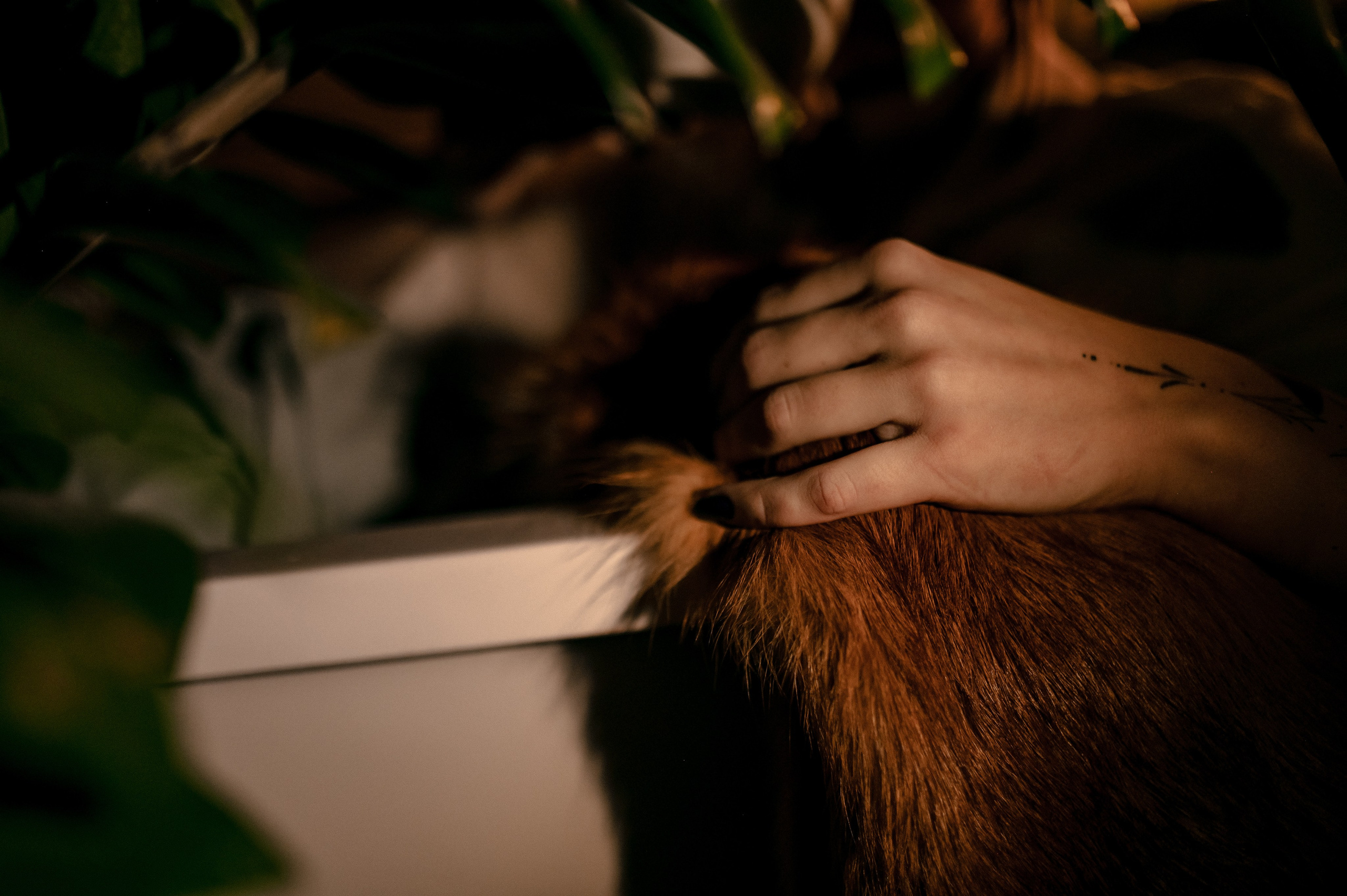 Отель. Цветы. В душе/ванна. Фотограф Котова Валентина