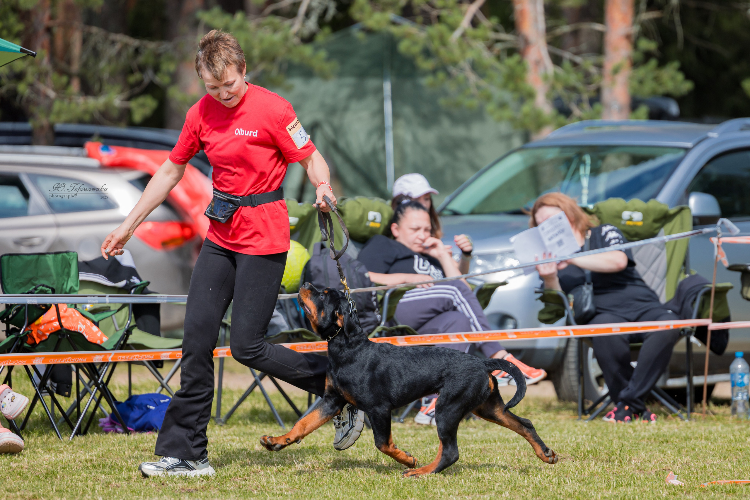 Тверь ротвейлеры 5-6.07.2025. Фотограф-анималист Юлия Германика