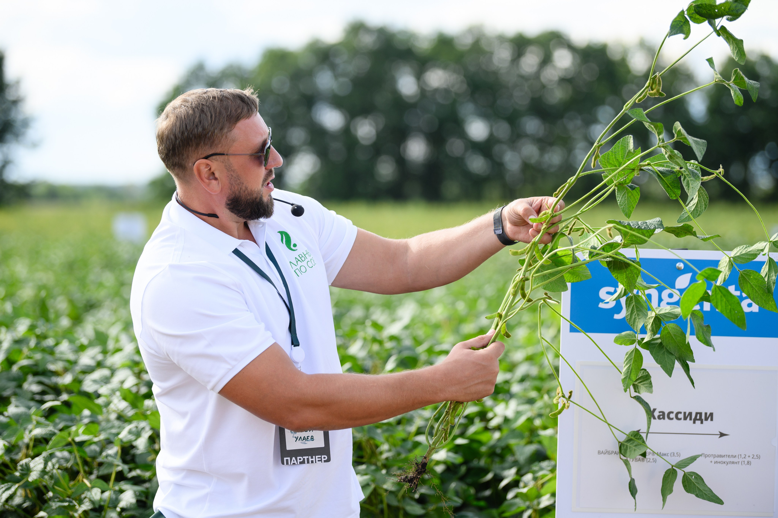 Проекты. Профессиональный фотограф Вячеслав Плацында | Липецк |