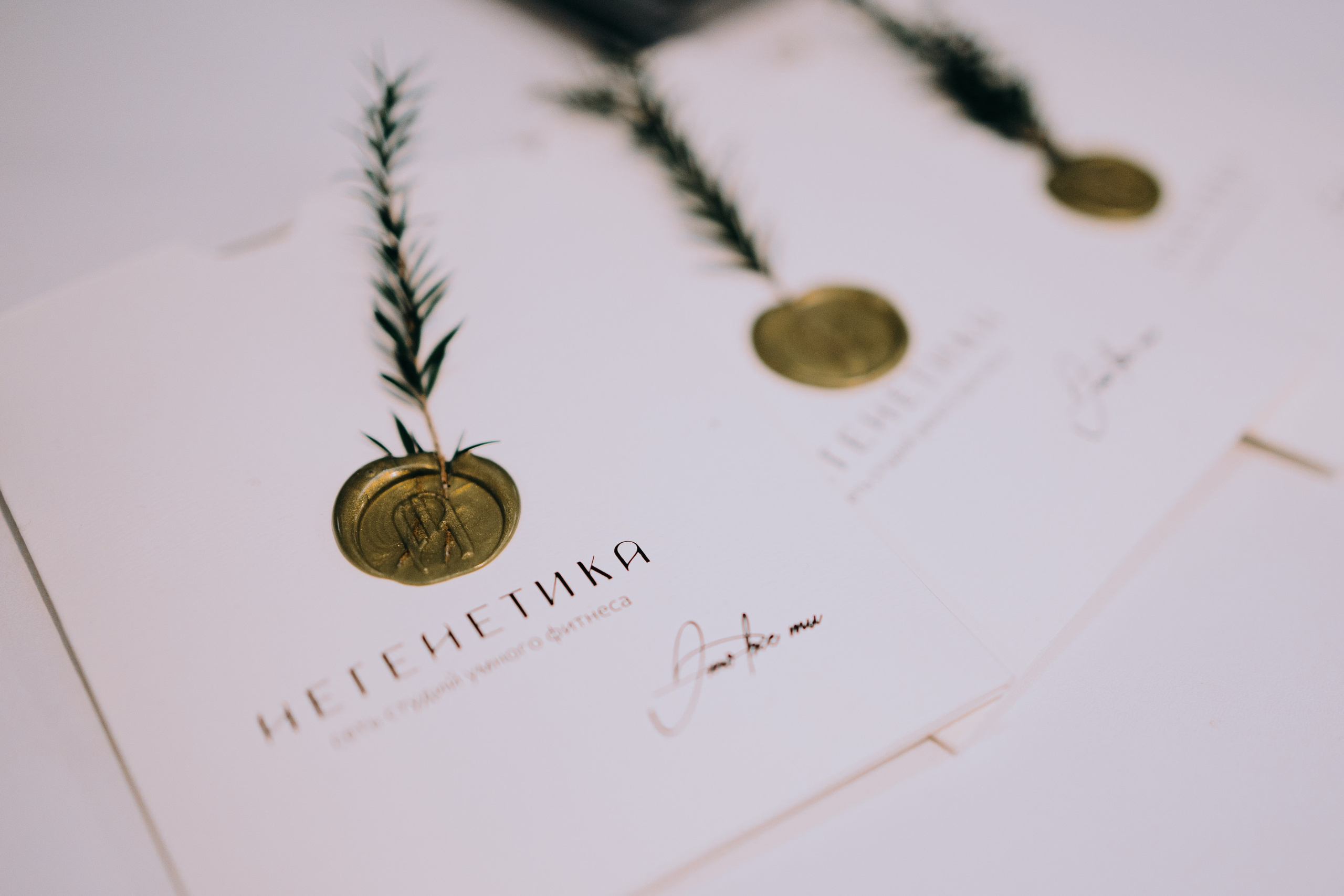 Мама года. Репортажный, портретный и свадебный фотограф в Магнитогорске Степан Самовиков