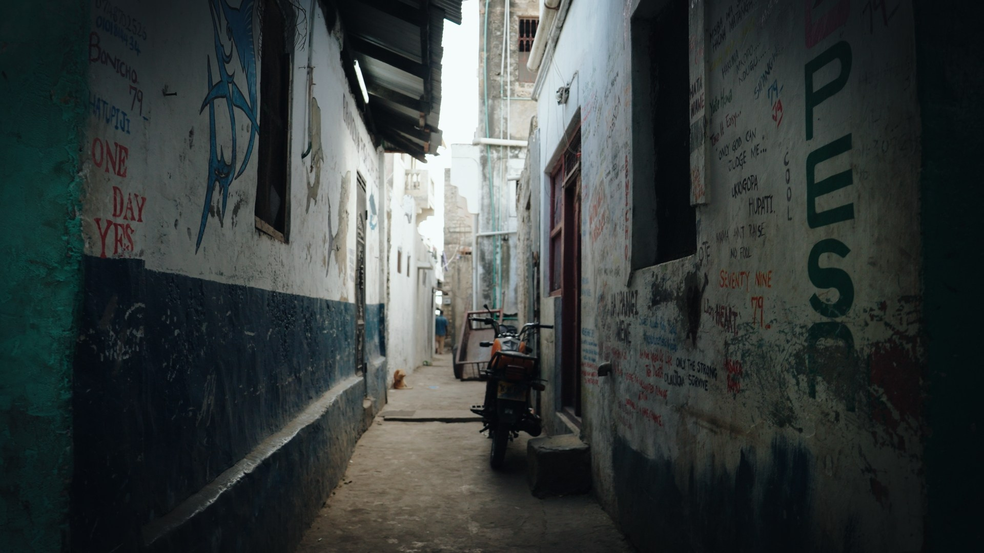 LUT NIKKI.CREATOR PART 2. Видеооператор, Видеограф в Москве, Видео монтаж