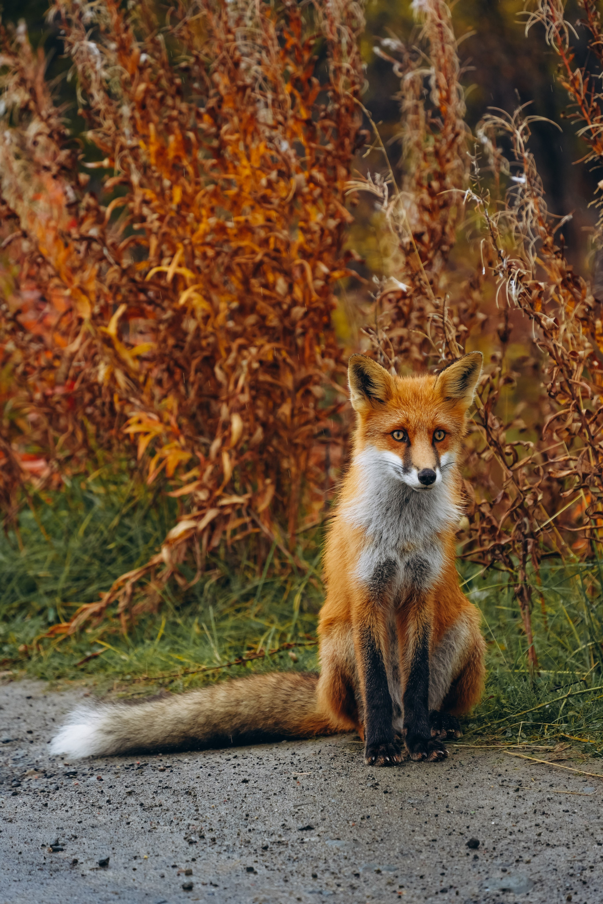СЕВЕР. Event фотограф Степанова Александра