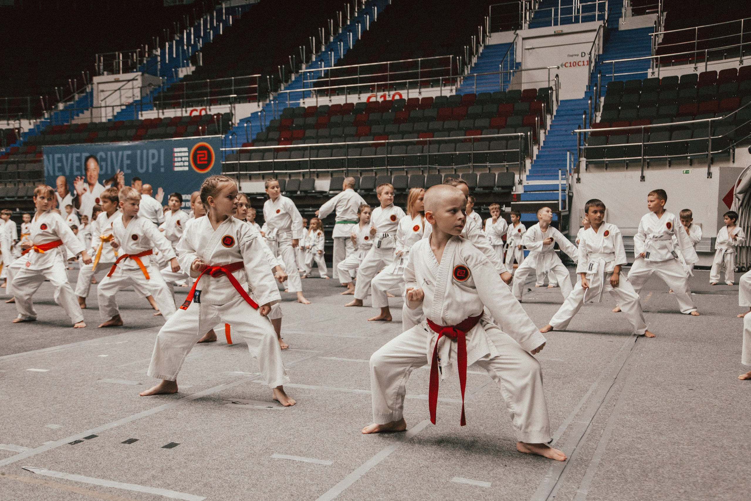 Международный сбор по каратэ в СКК «Сибур Арена». Репортажный фотограф во Всеволожске и Санкт-Петербурге Владимир Капустин