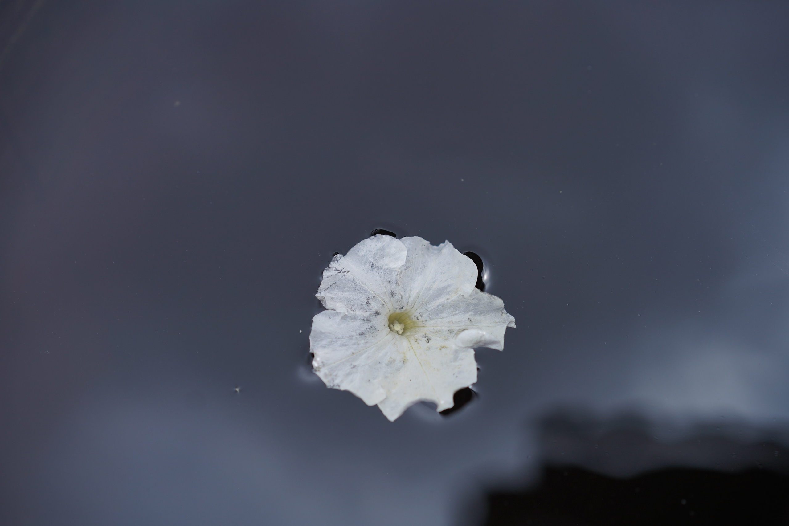 Для души. Фотосессия портрет, ню, будуар, стрит фотограф Москва Юлия Кафизова