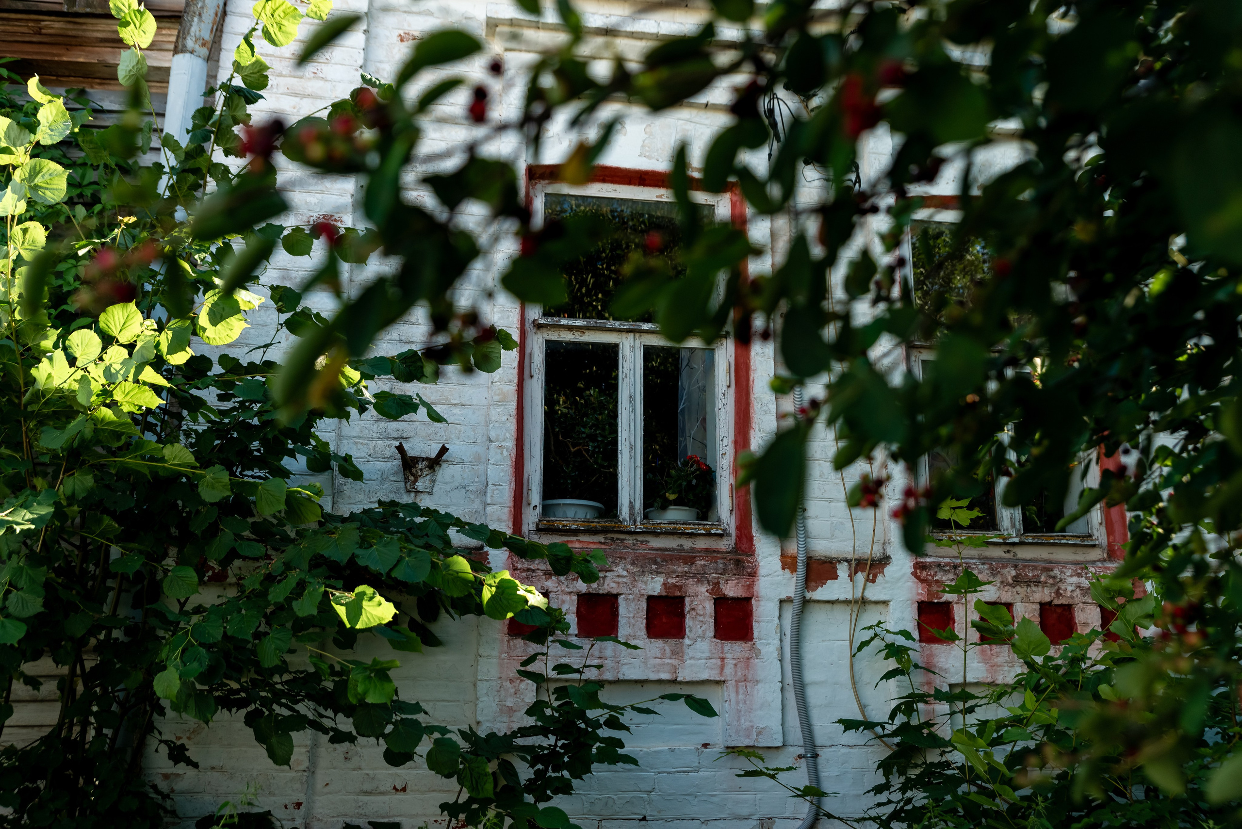 Городец. Фотограф Крещение Венчание Москва