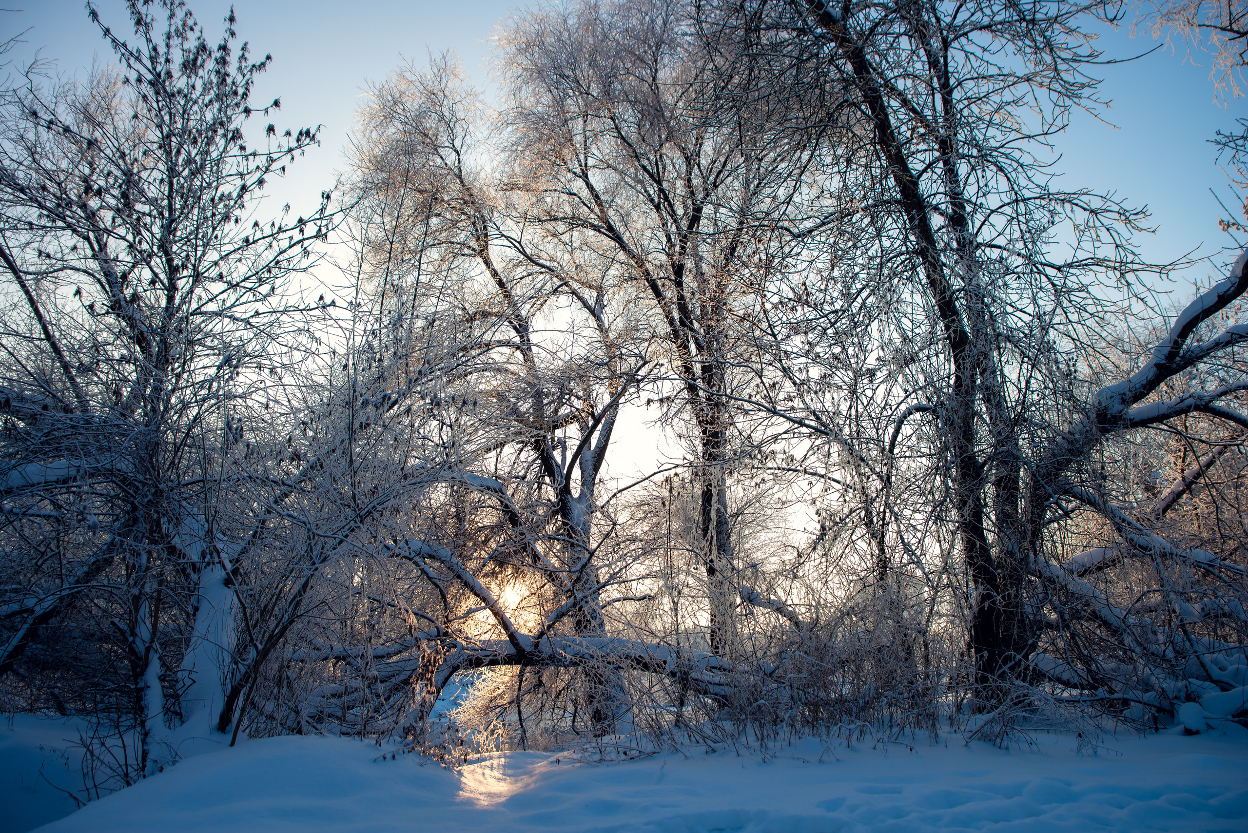 Зимушка зима. Фотограф Крещение Венчание Москва
