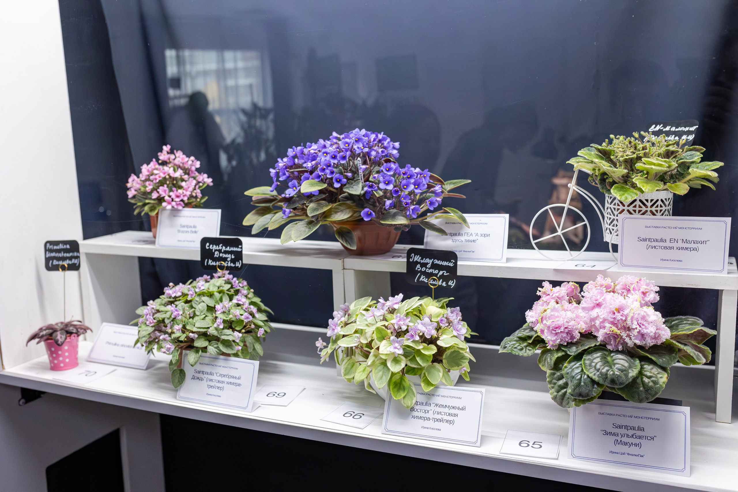 Монстериум апрель 2026. Александра Куликова фотограф, Москва