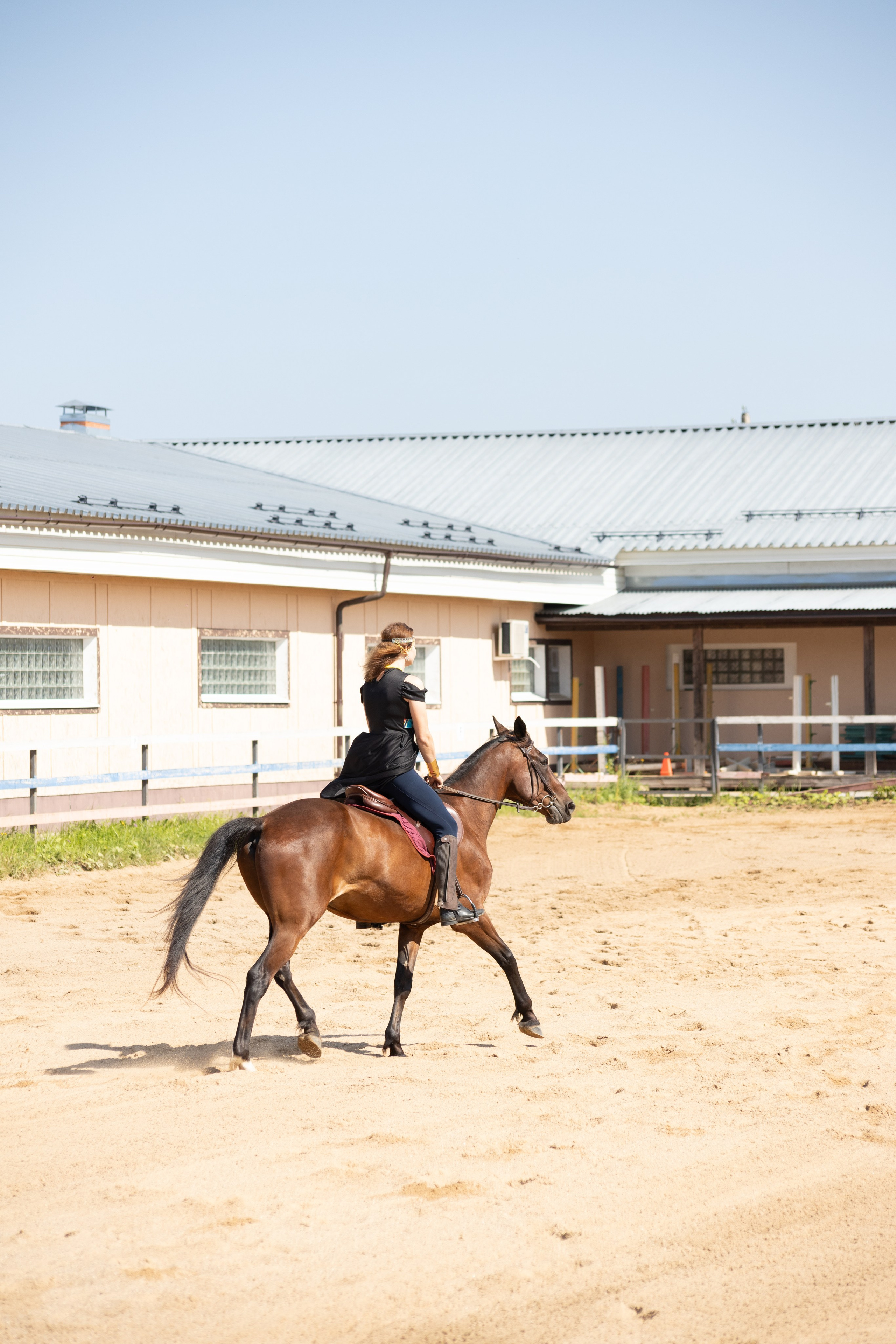 Конюшня. Фотограф в Москве и Истре