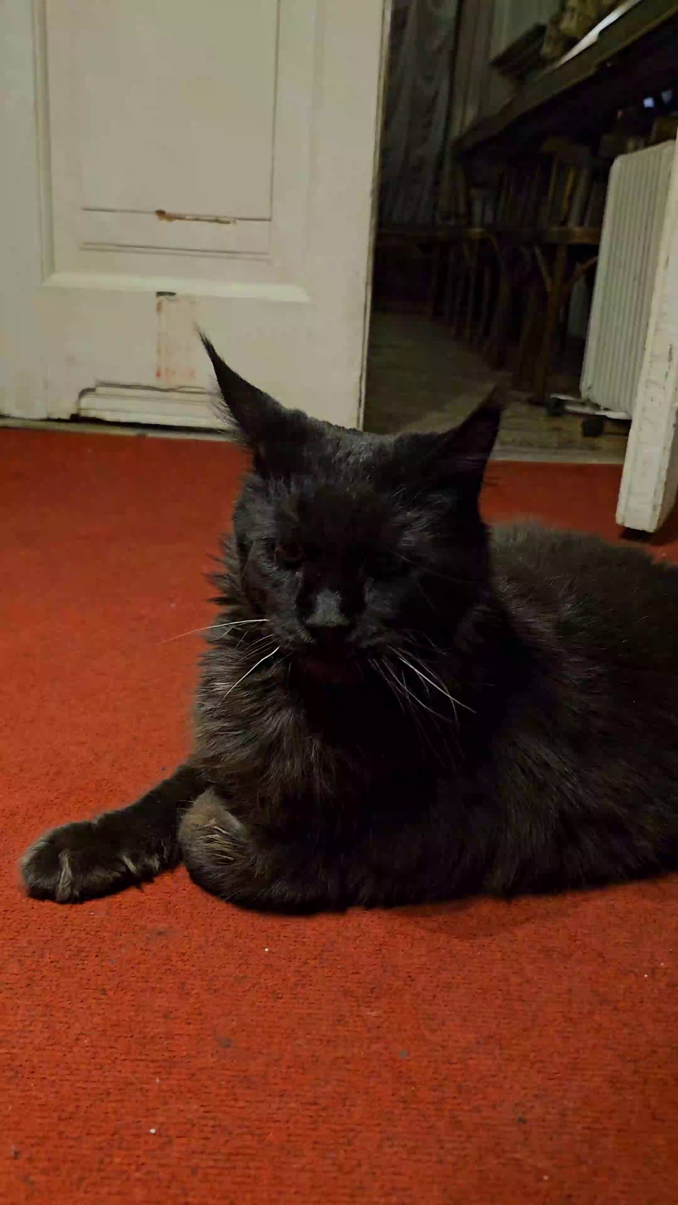 Зимний пленэр. Изостудия «Мы рисуем!» ♥ Южное Бутово, Москва