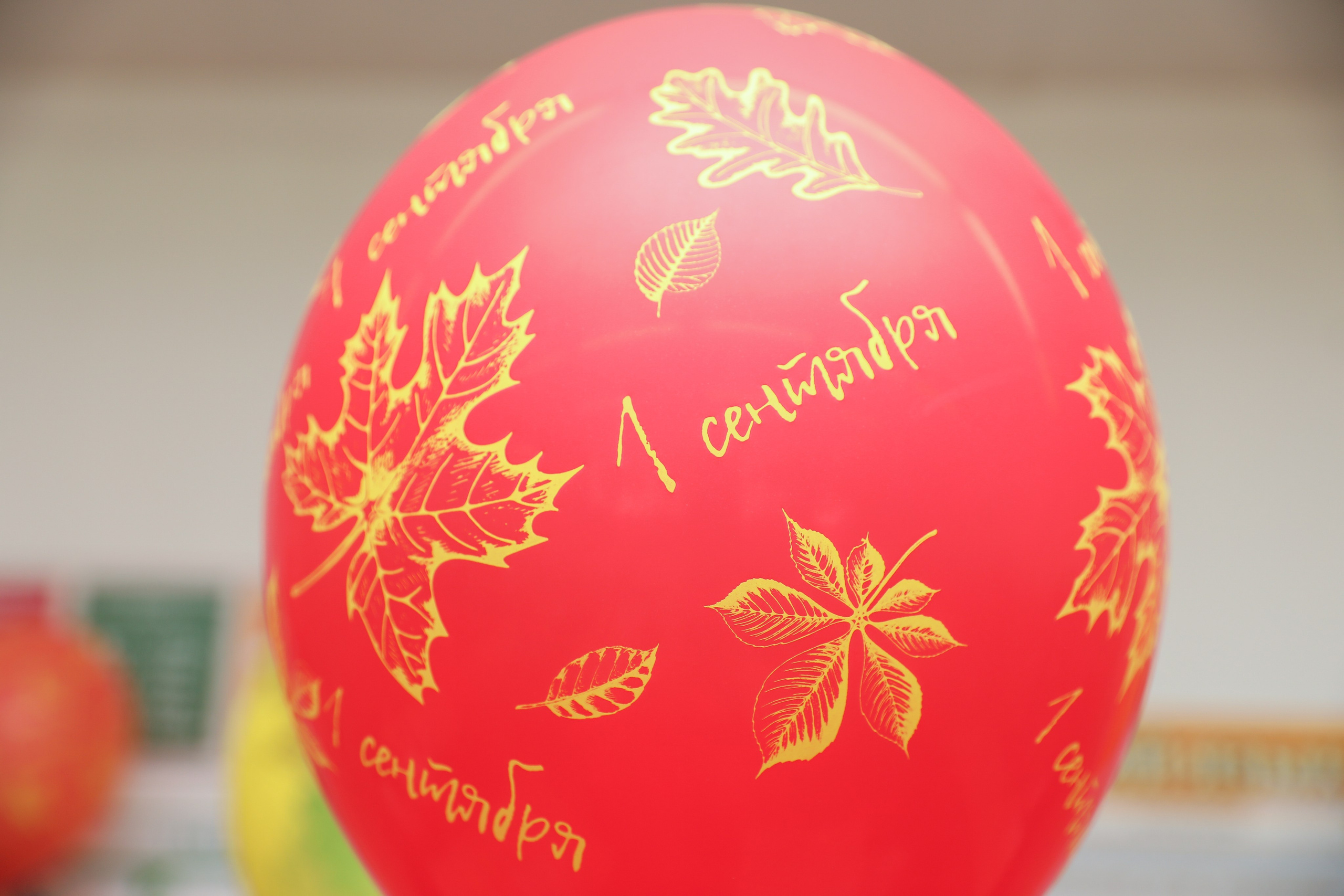 ЛИЦЕЙ ИСТЭК. Photographer Viktoriya Markushina «My world throug»