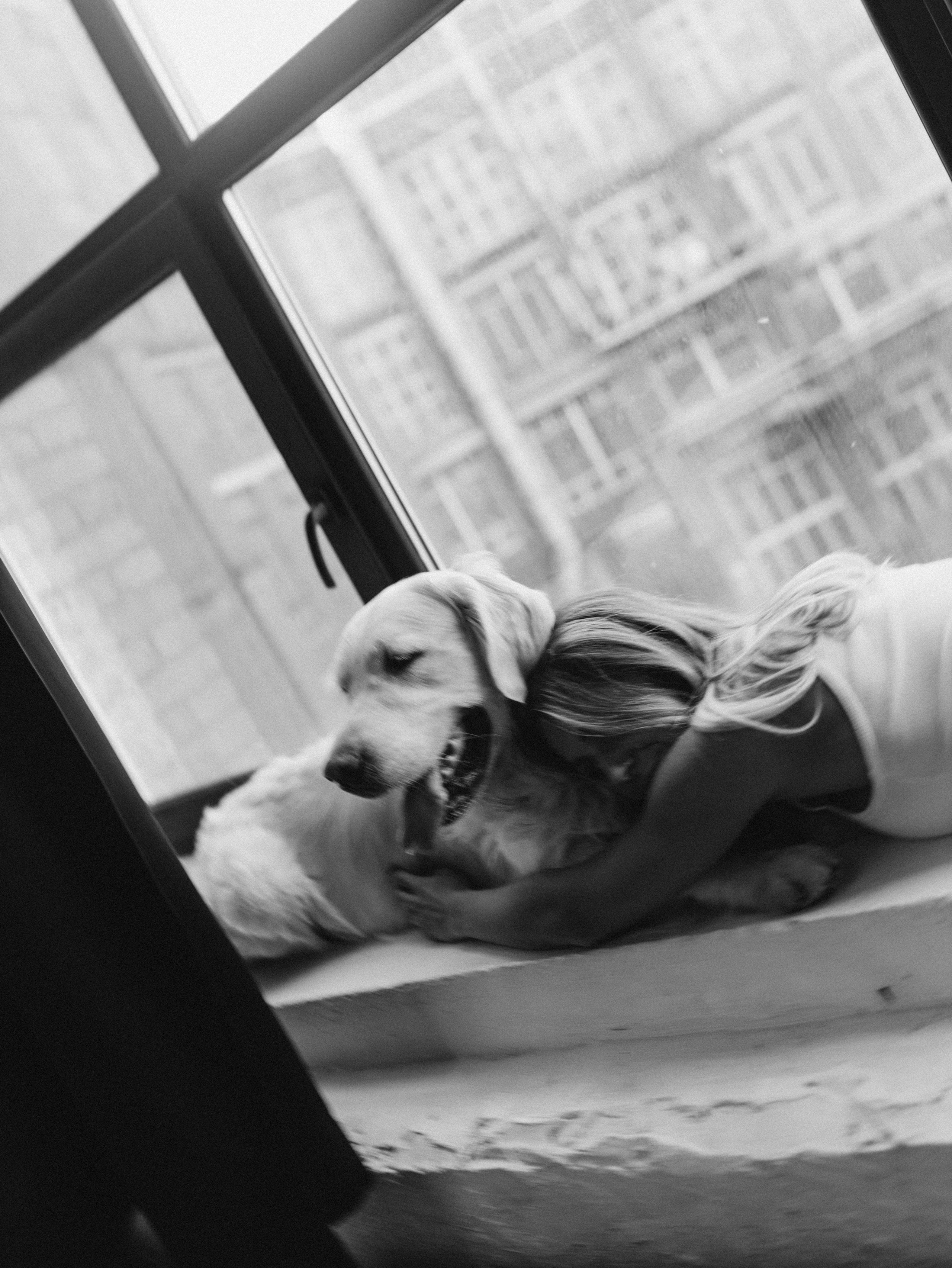 Энди и Настя. Фотограф-анималист в Москве Кириллова Татьяна