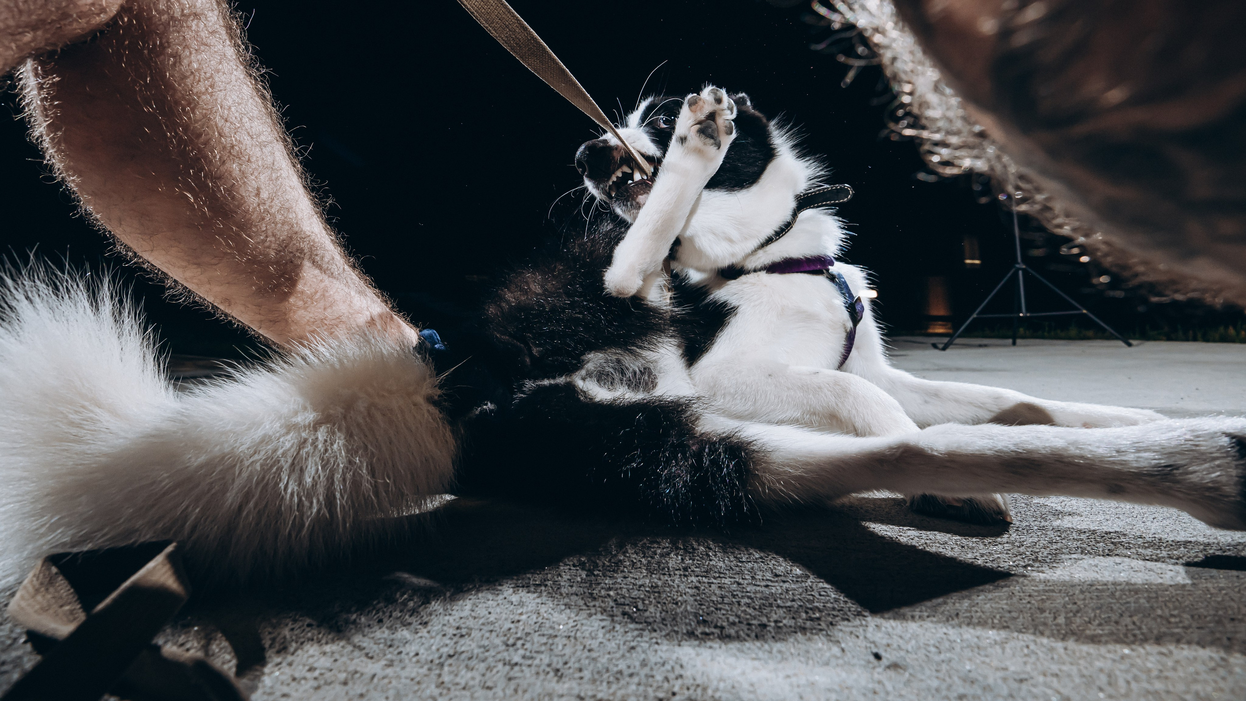 Юра. Фотограф в Благовещенске Андрей Сенченко