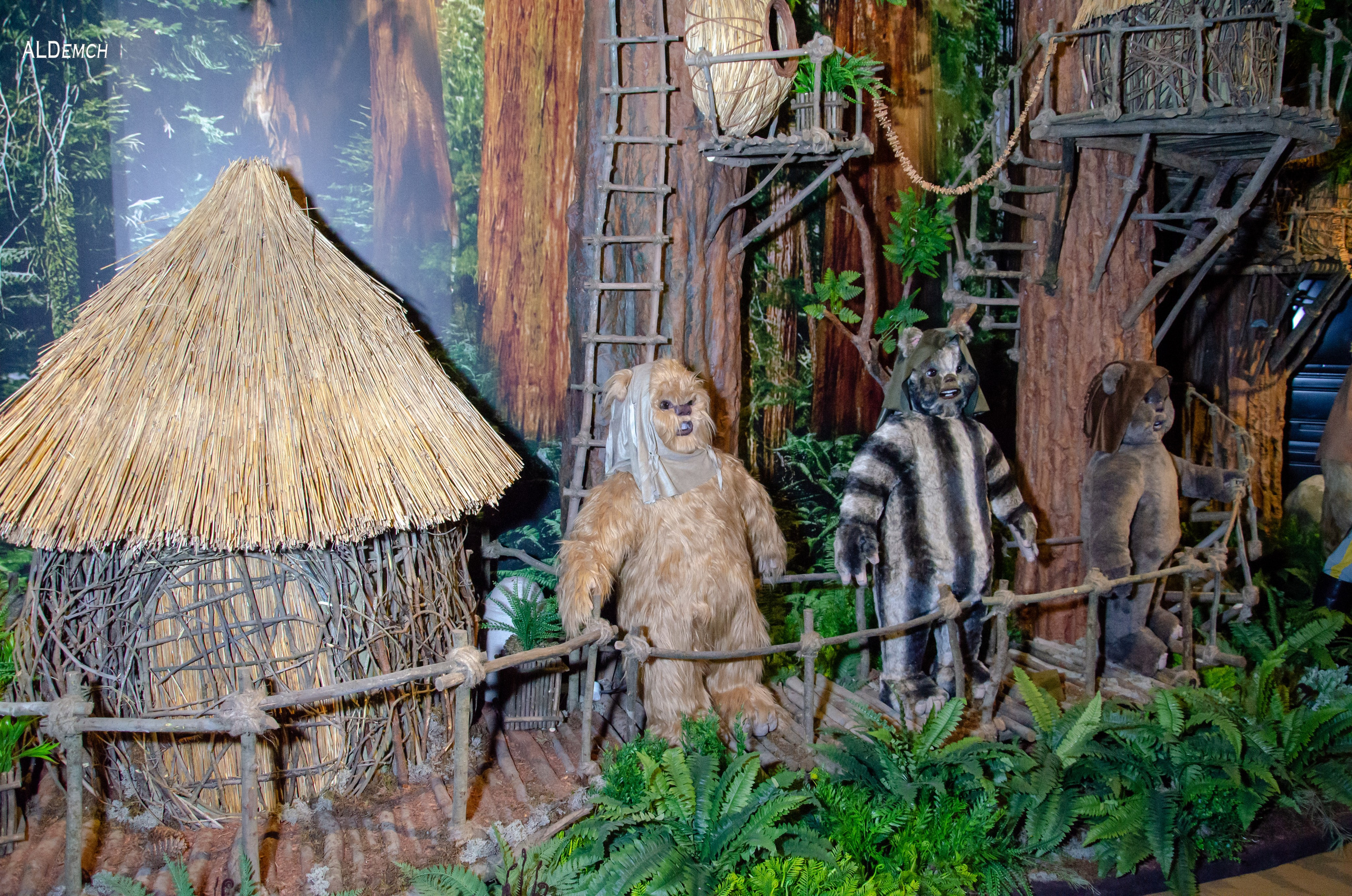 Фотосессия на ВДНХ косплей выставки по звёздным войнам