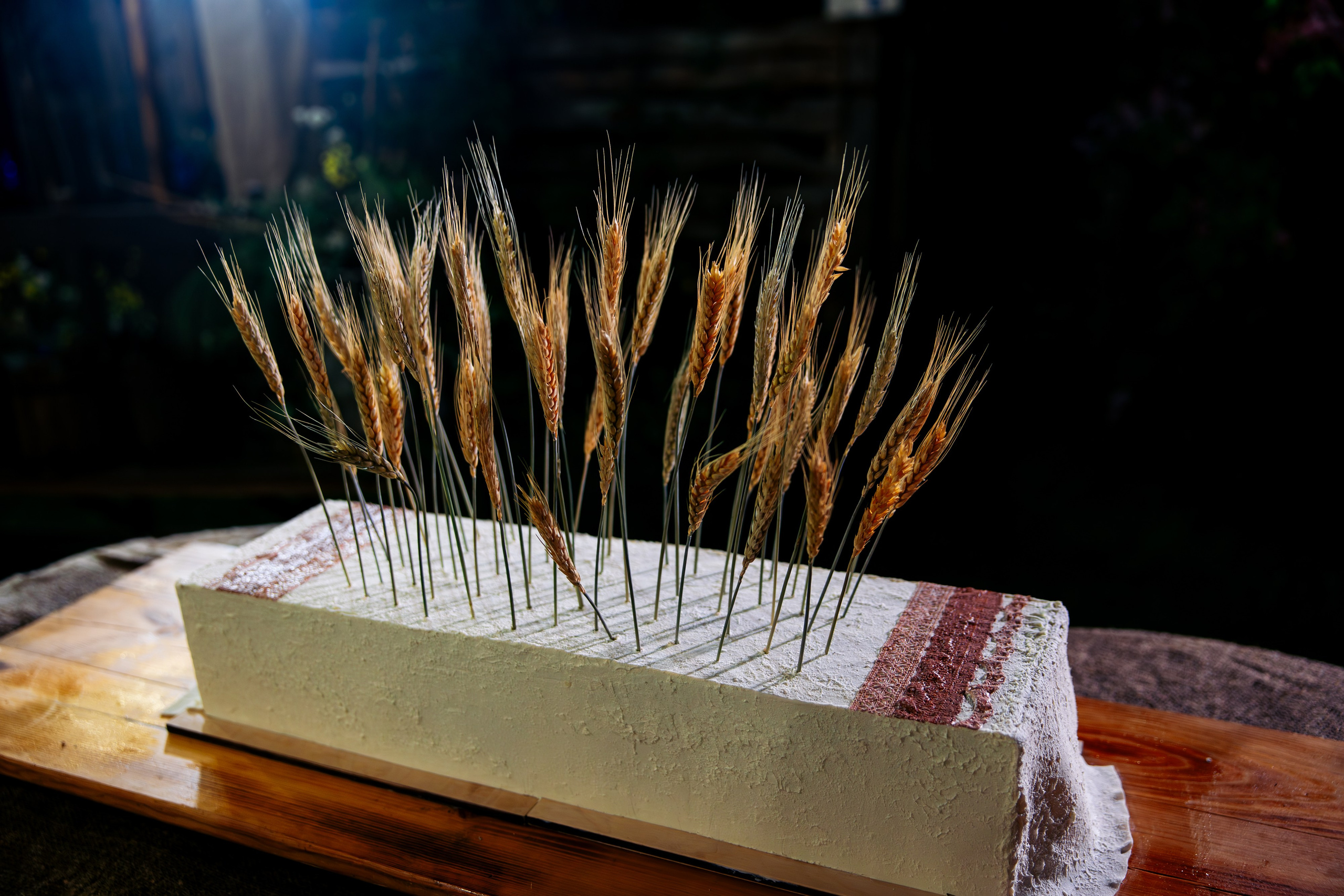 ХОЛОП -тематический праздник. Свадебный фотограф Минск РБ