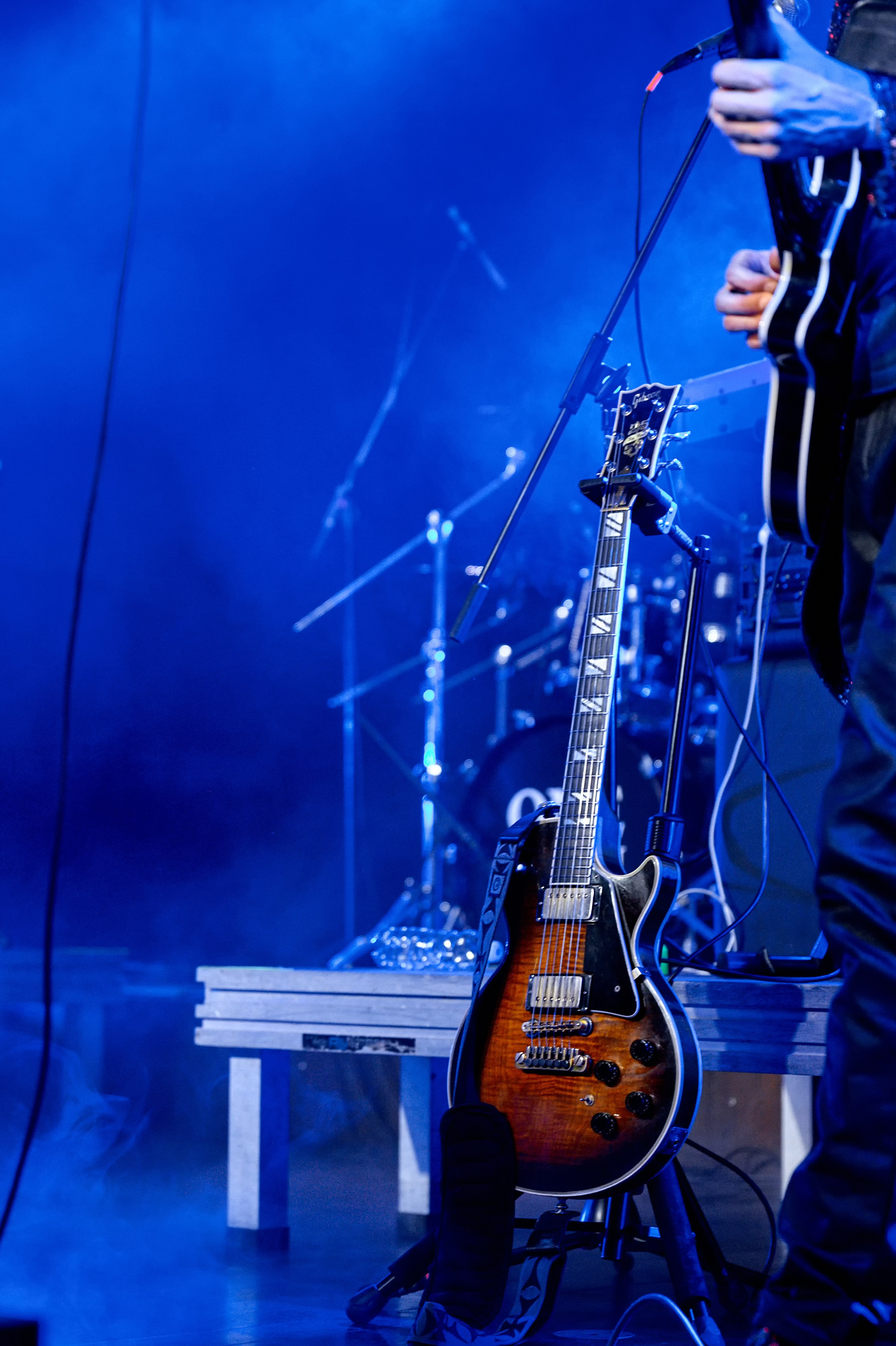 Tribute Queen. Рекламный фотограф Санкт-Петербург Катерина Мишкель