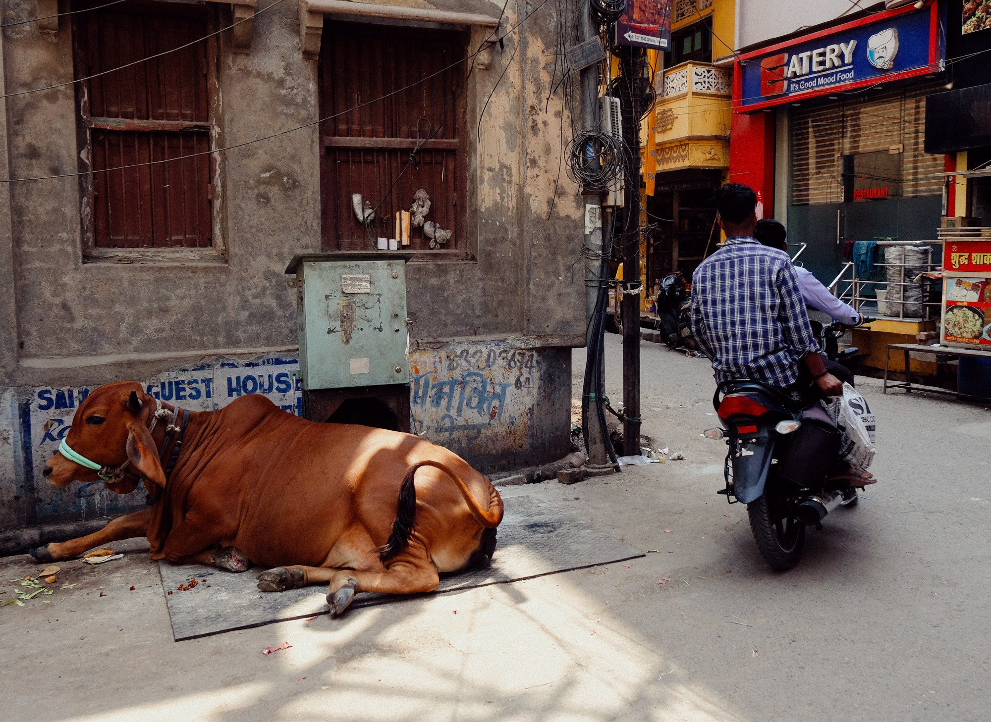 INDIA. Фотограф Дмитрий Олрайт | Калуга, Россия