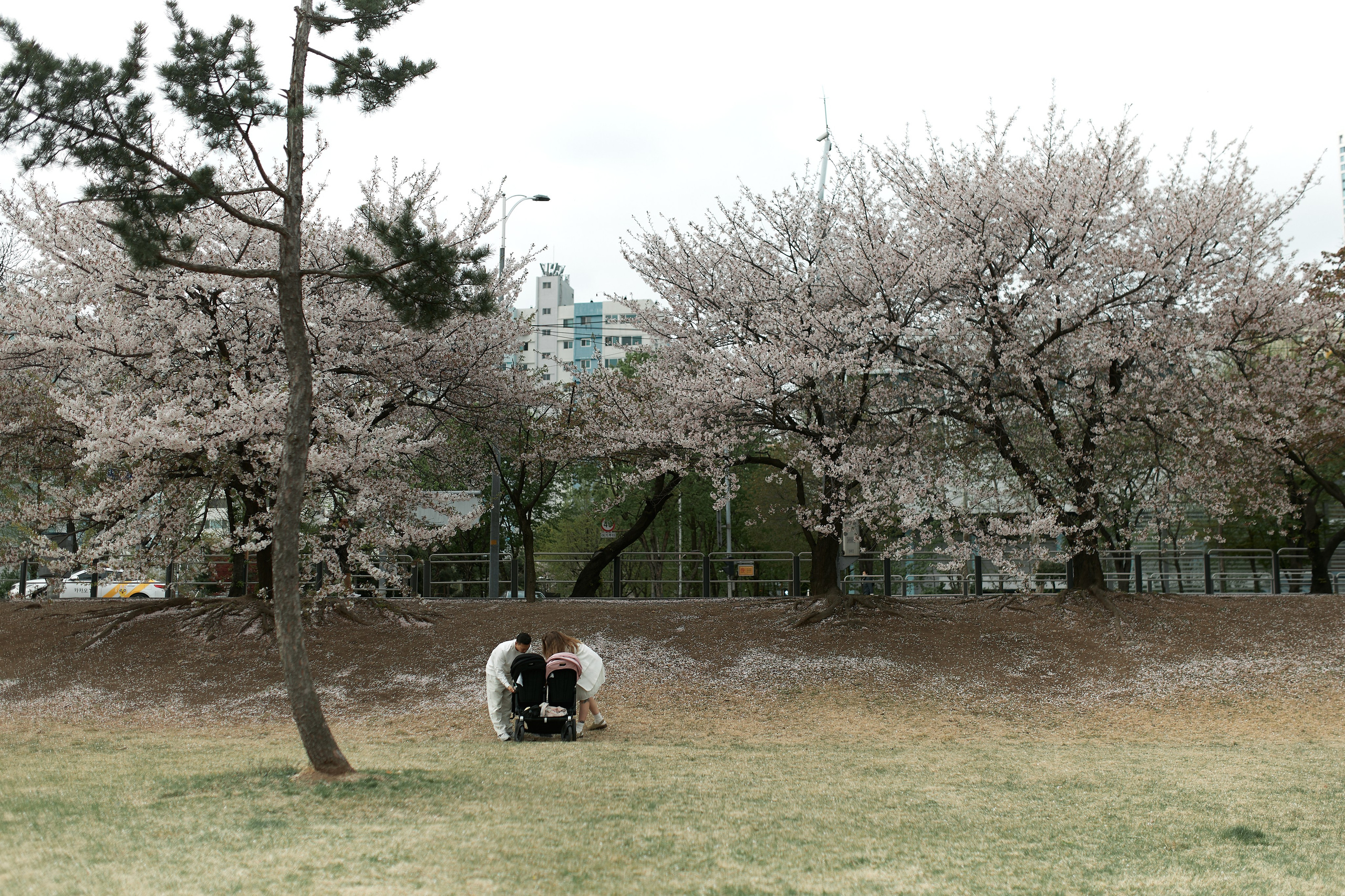 Very big love. Ваш душевный фотограф