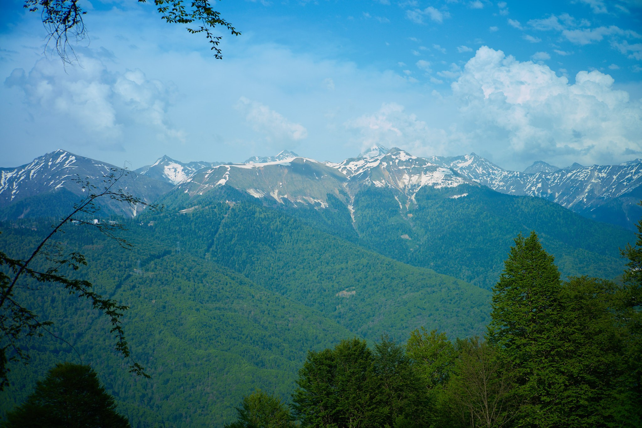 Красная Поляна, апрель 2024. Фотограф, Римма Невинская