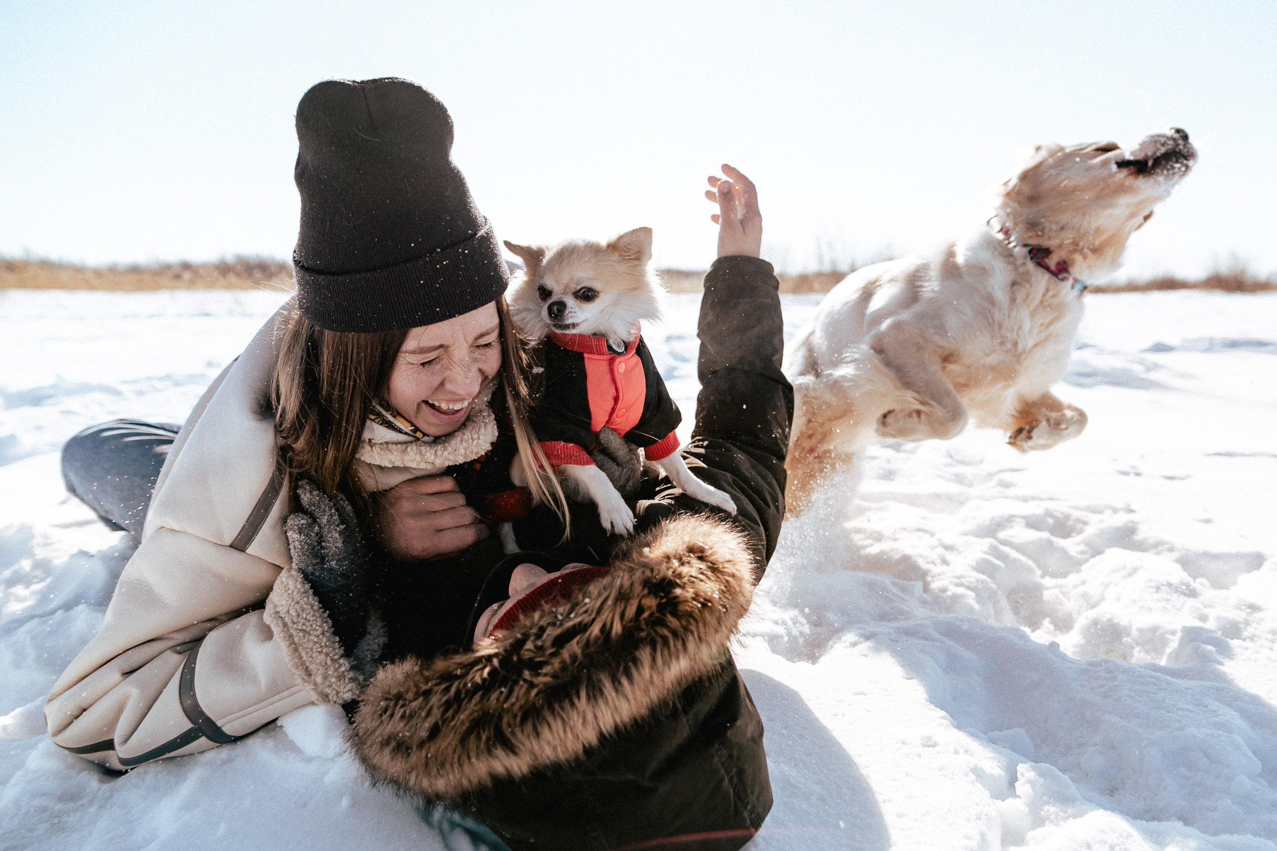 Настя и Лёша. Крылова Светлана Фотограф Челябинск