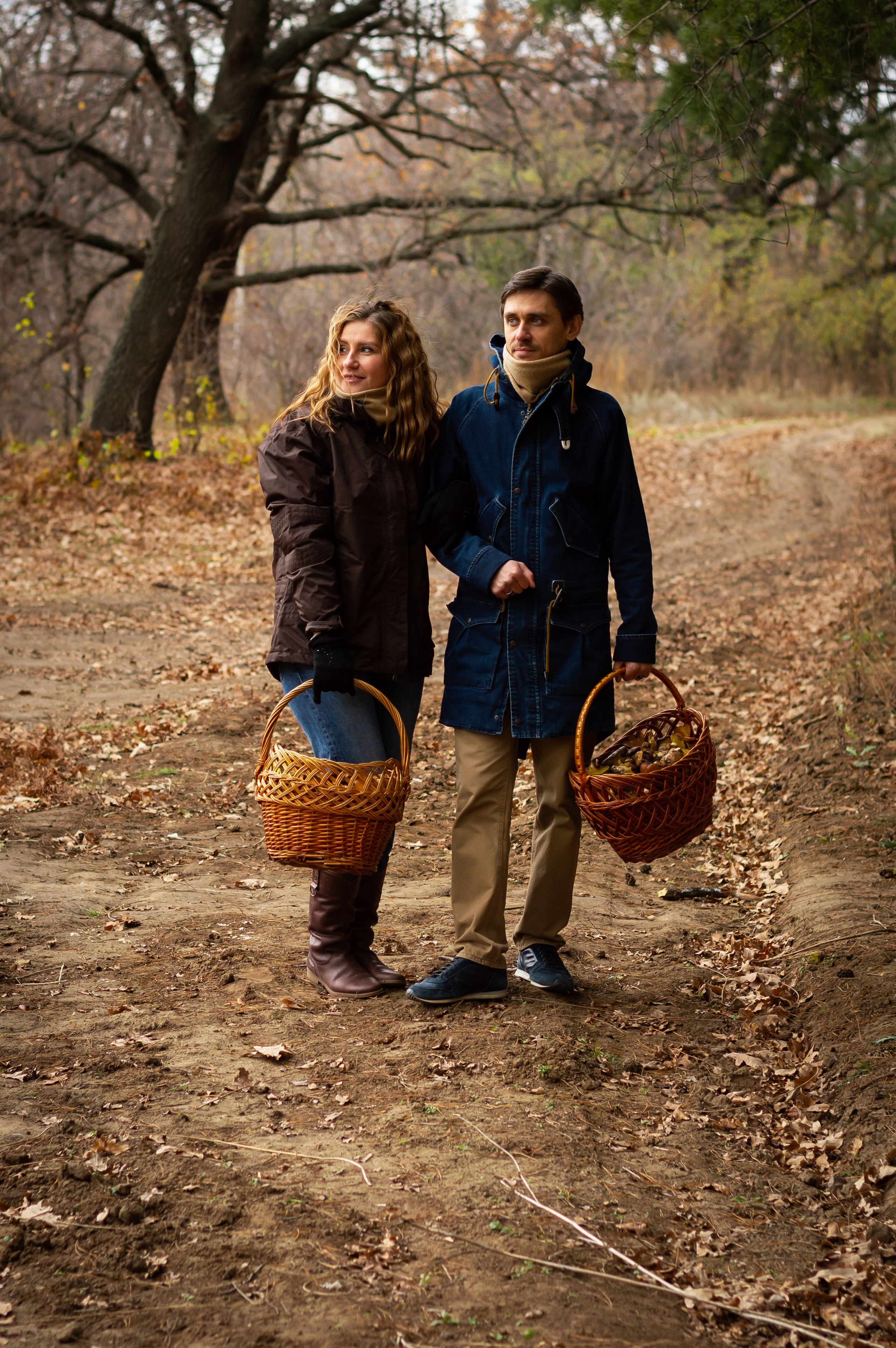 По грибы. Главная