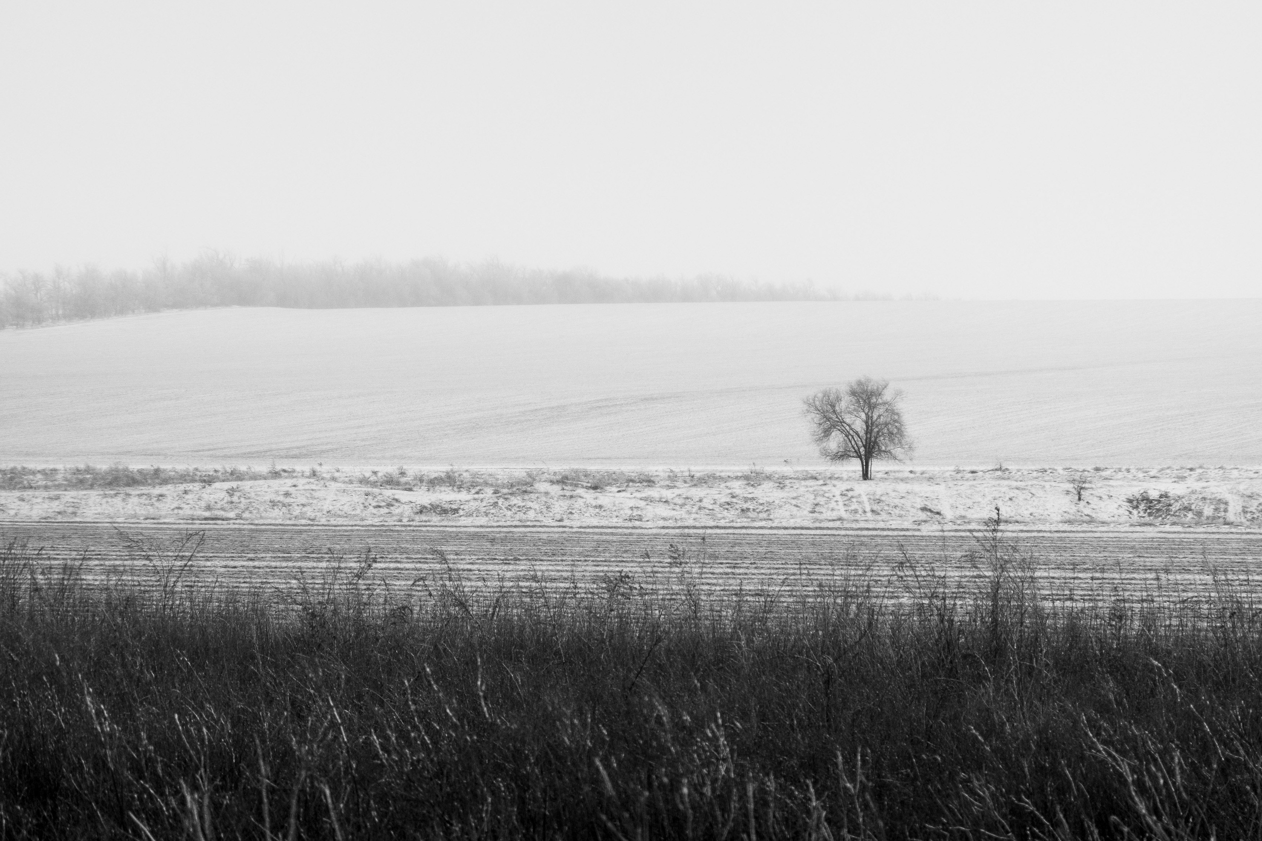 Деревня / Юг. Фотограф Антон Денисенко: Портрет, Документалистика, Пейзаж. Москва