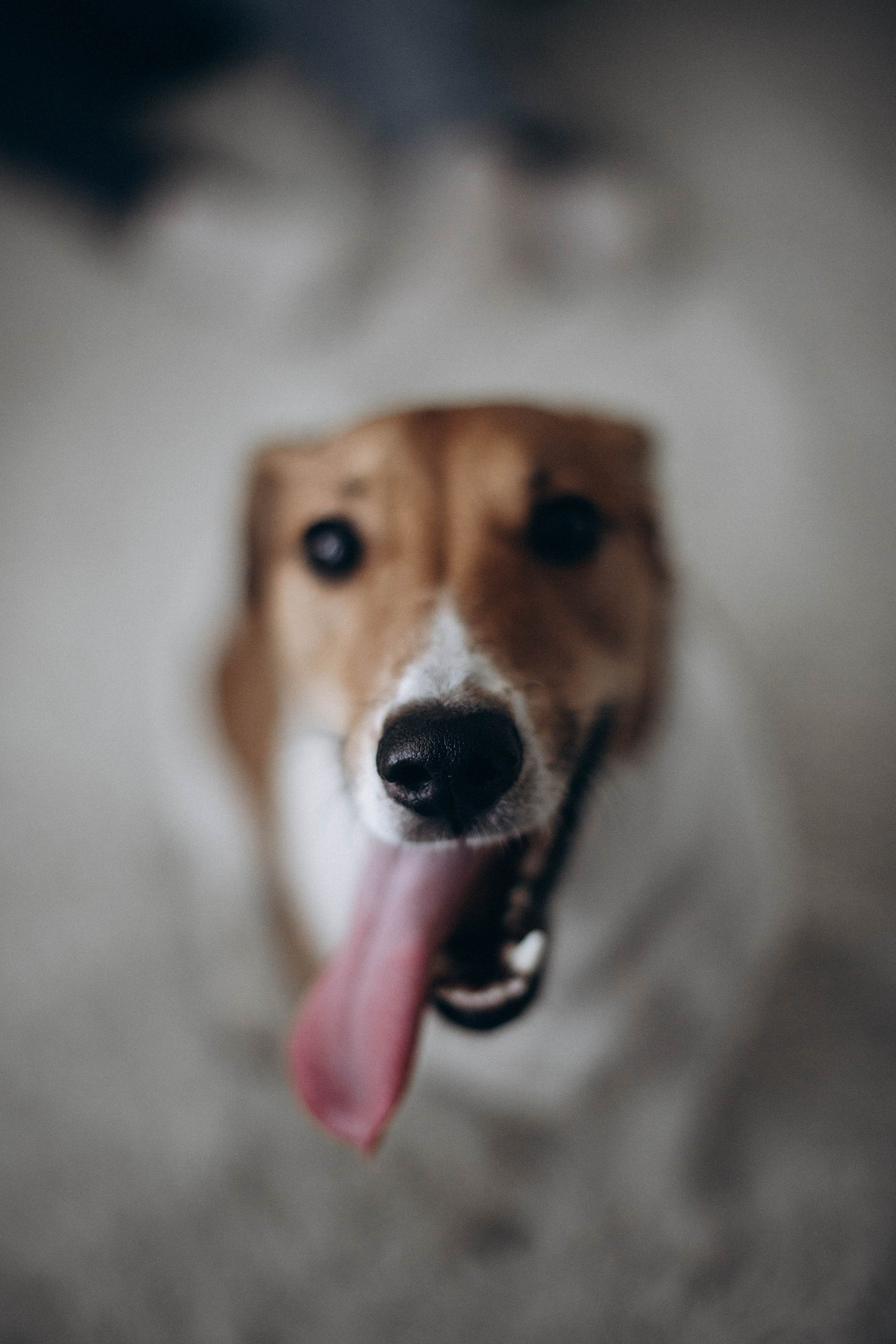 Добро пожаловать в семью. Семейный фотограф Москва Ирина Малышева