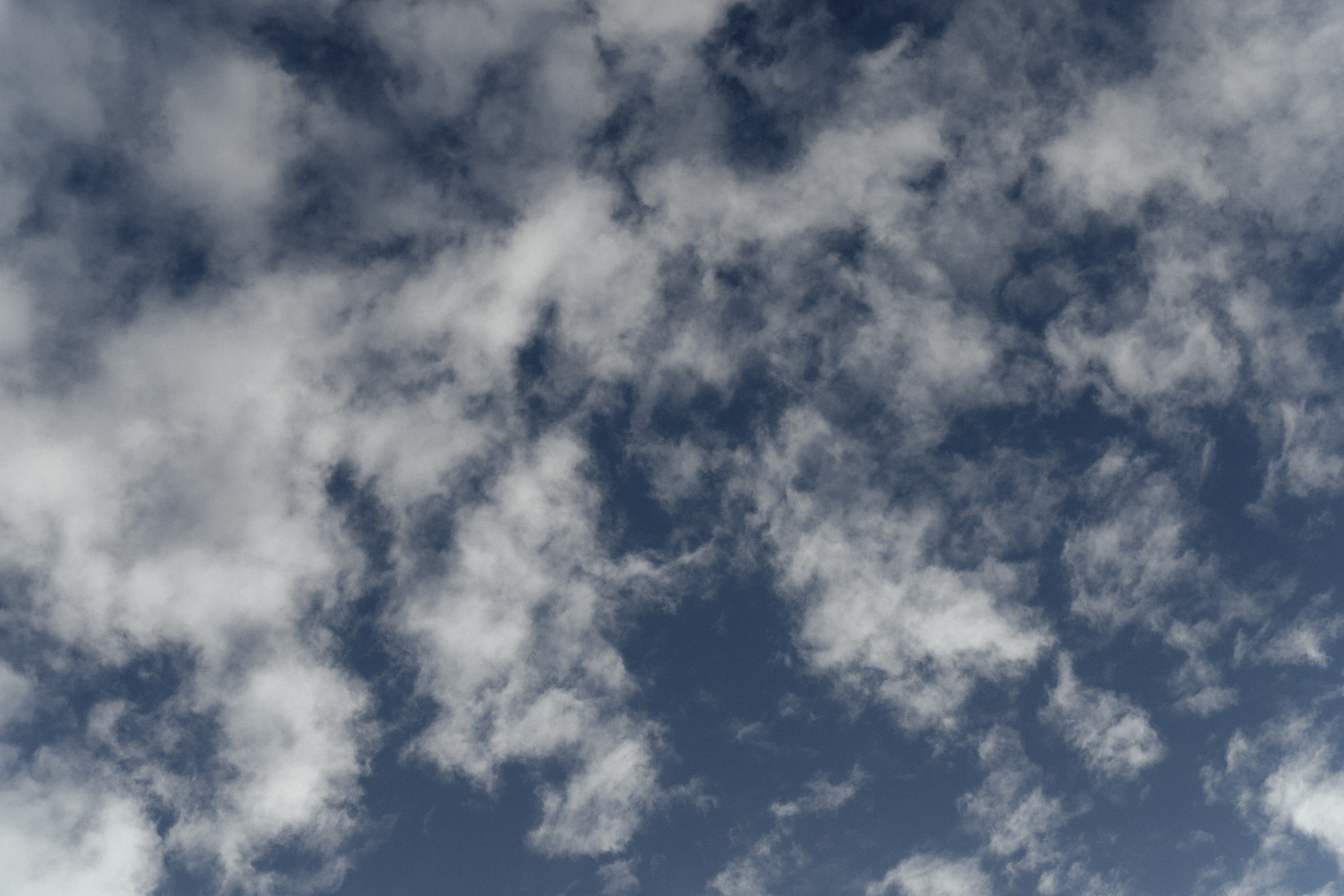 Анна. Женский и семейный фотограф Аксинья Кузьмина. Город Пенза