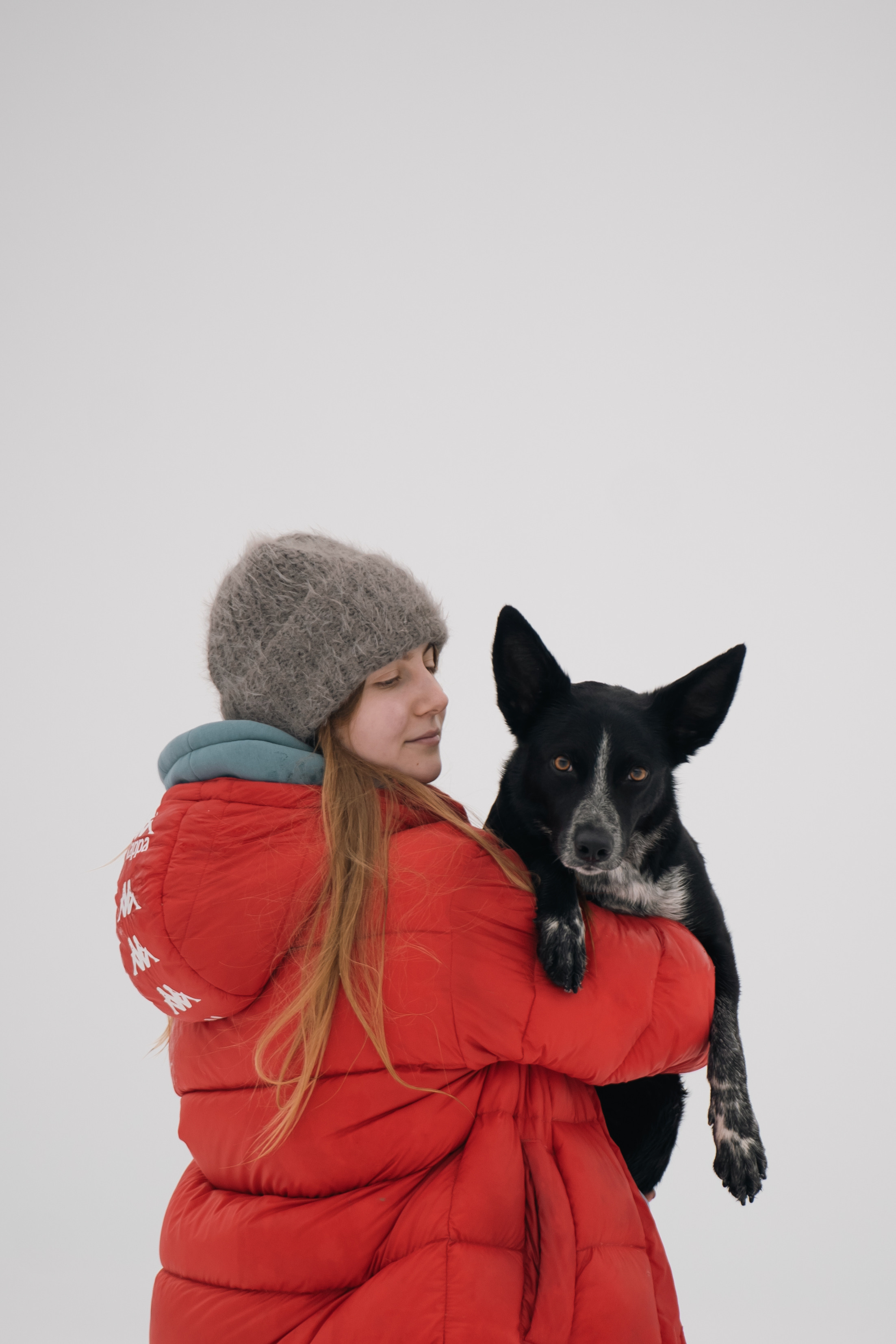 Снежная Йота. Фотограф анималист