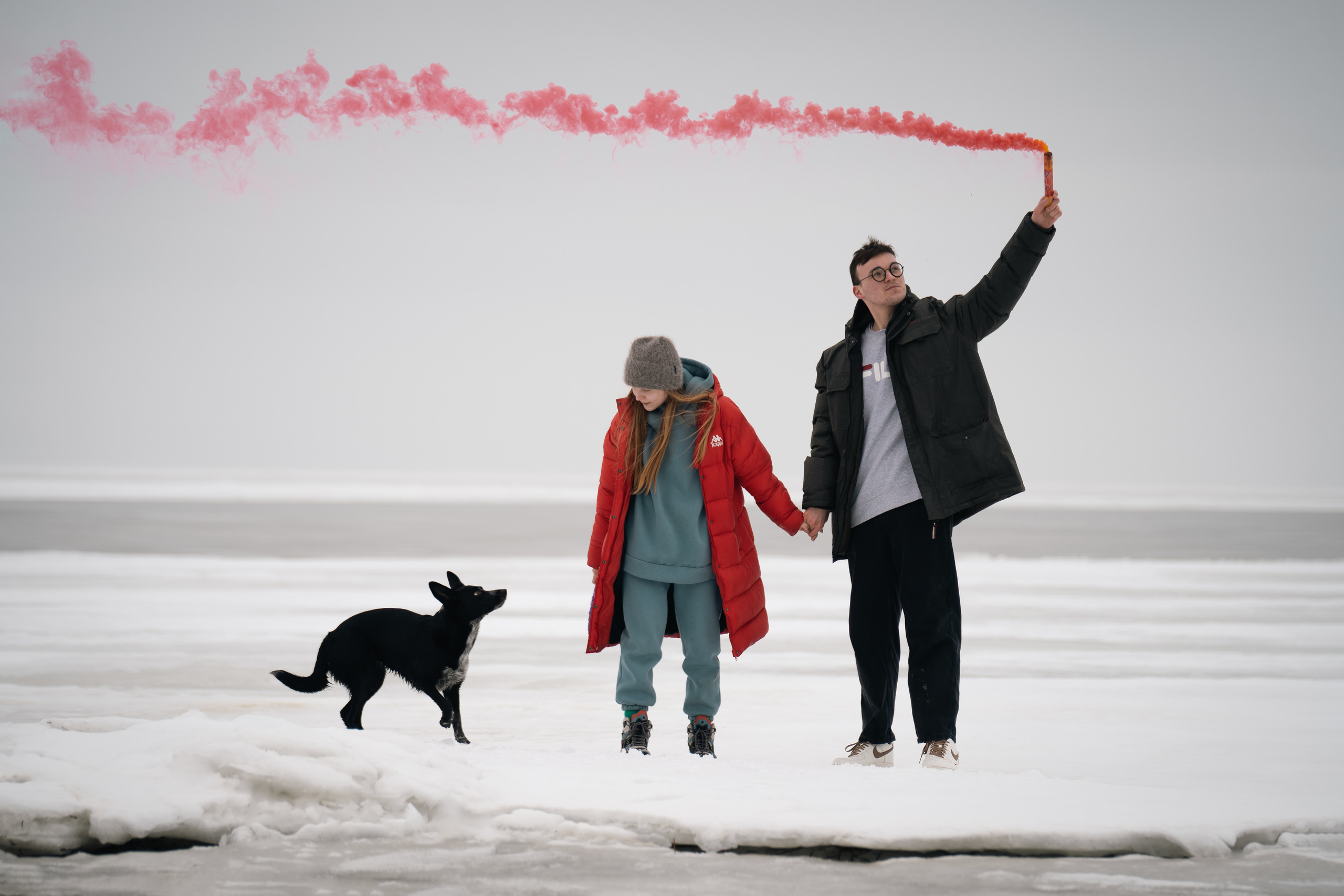 Снежная Йота. Фотограф анималист