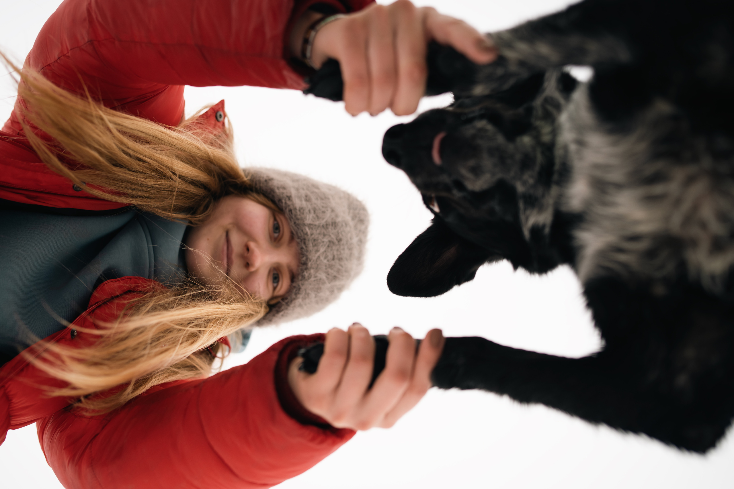 Снежная Йота. Фотограф анималист