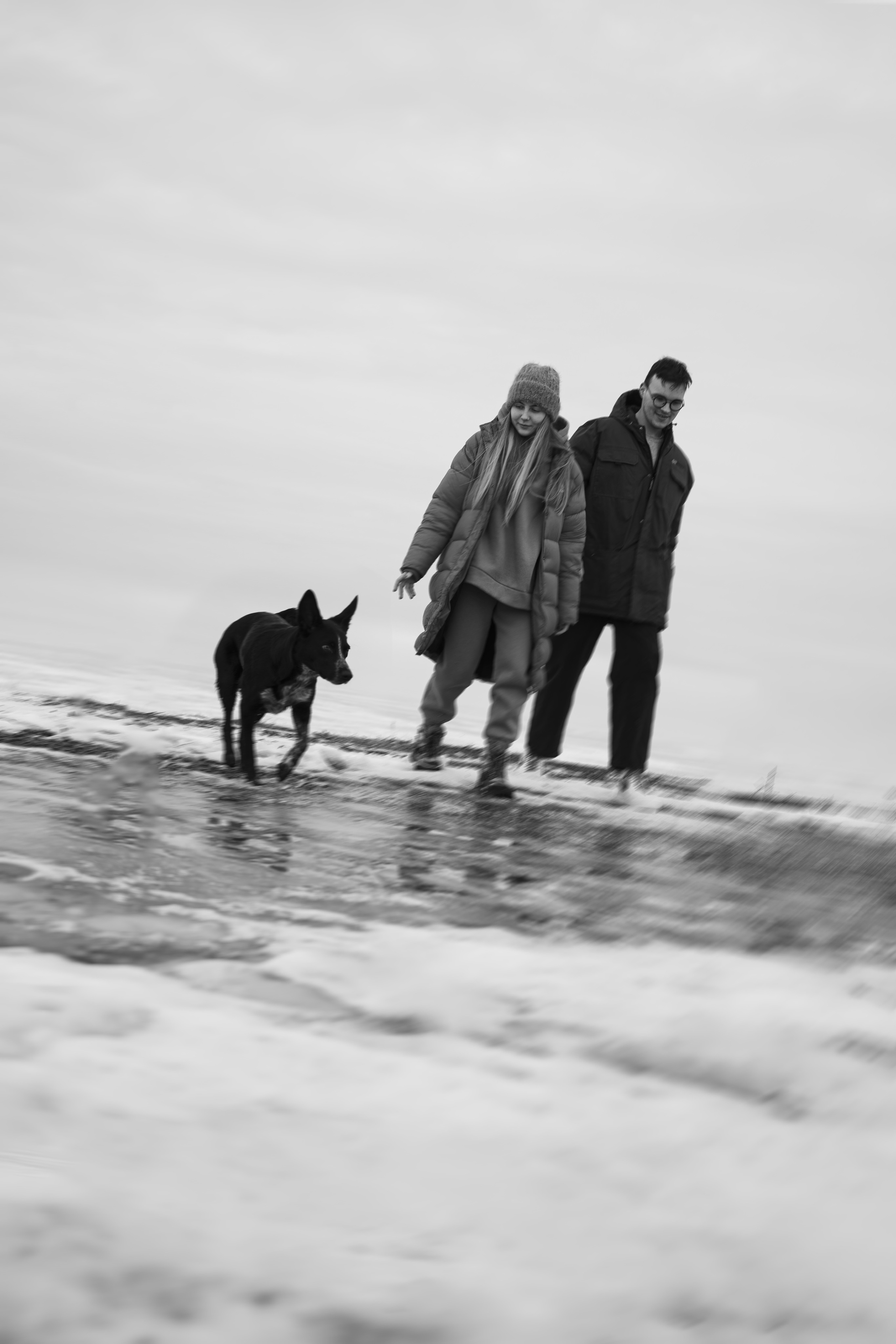 Снежная Йота. Фотограф анималист