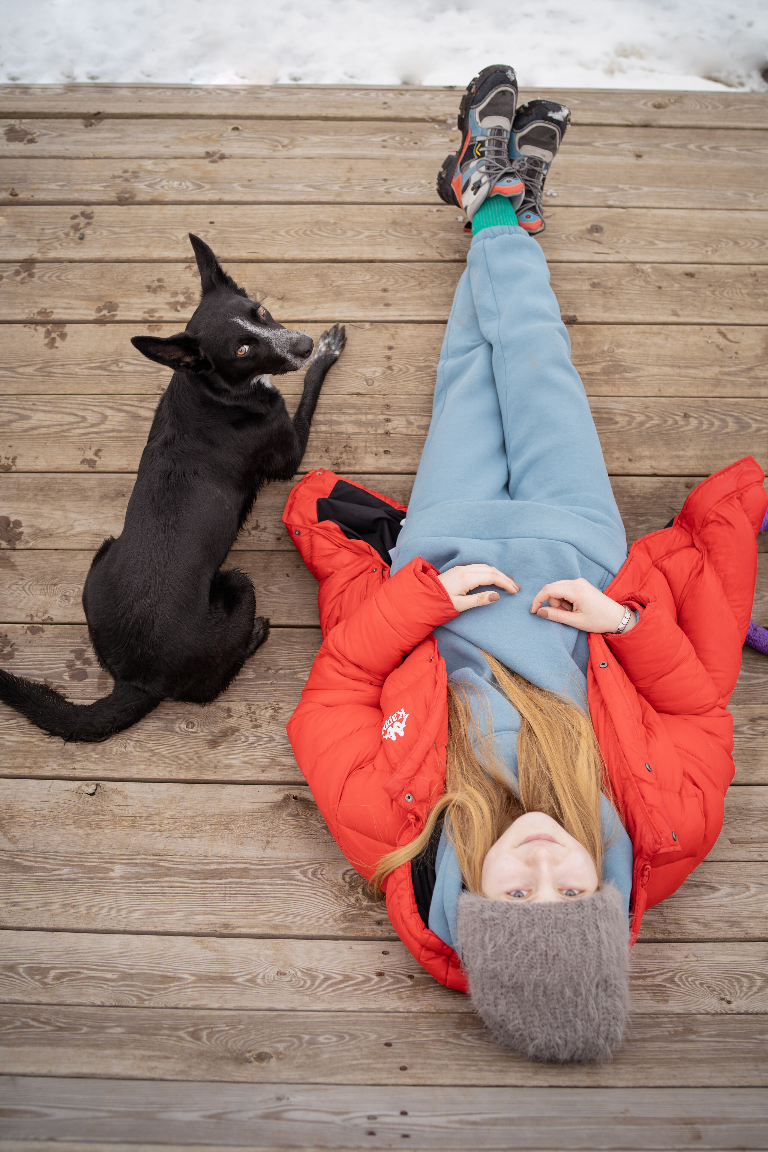 Снежная Йота. Фотограф анималист