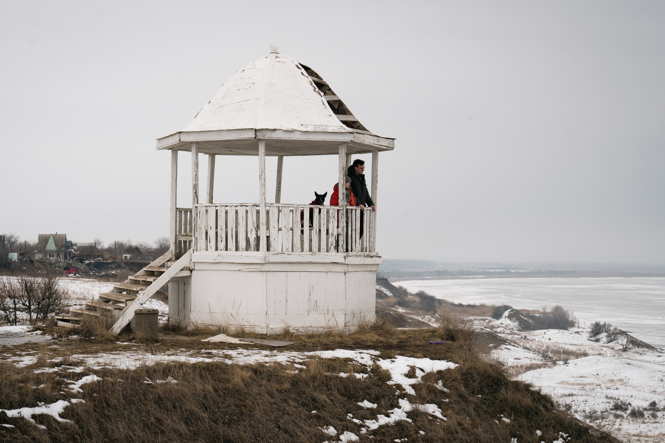 Снежная Йота. Фотограф анималист