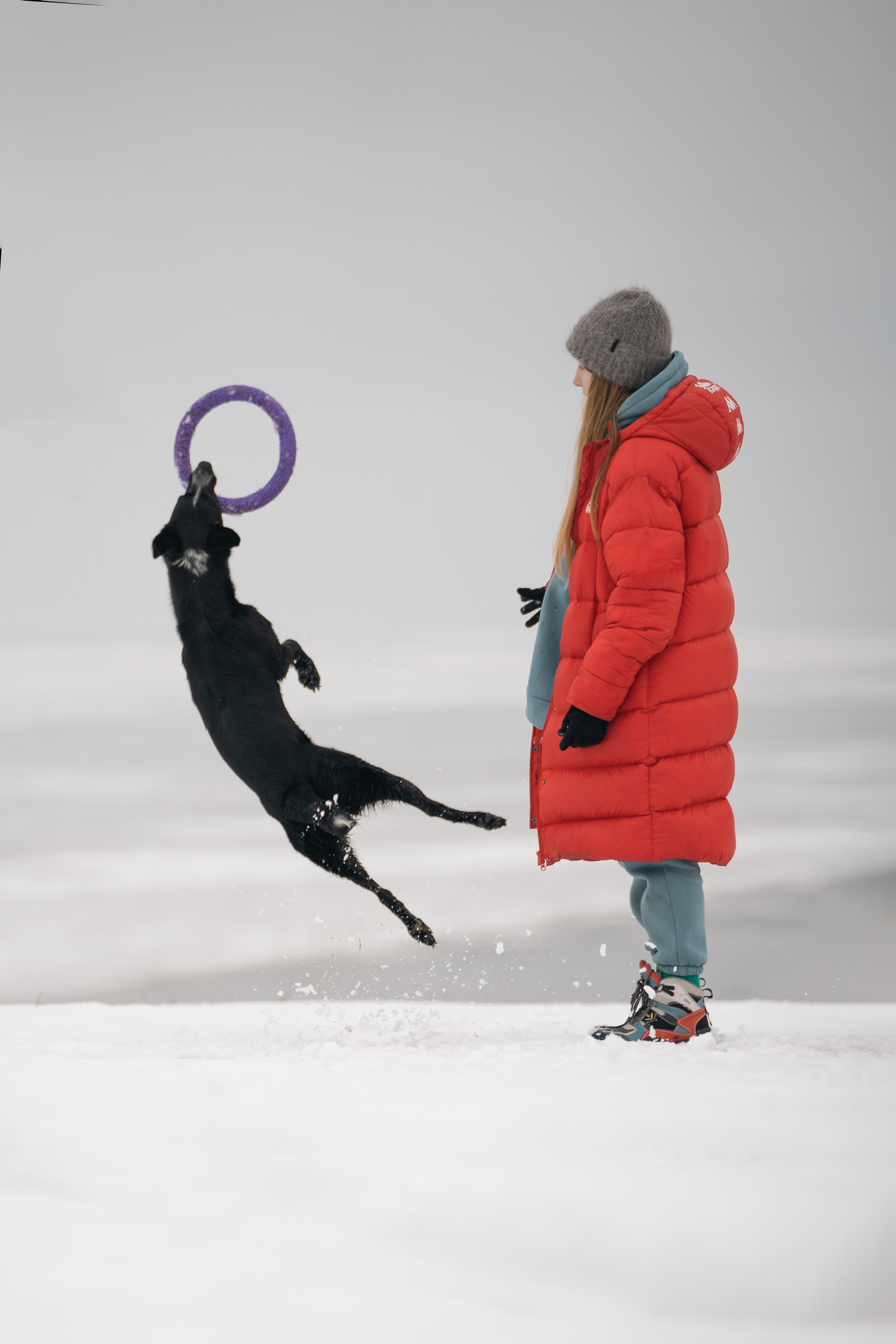 Снежная Йота. Фотограф анималист