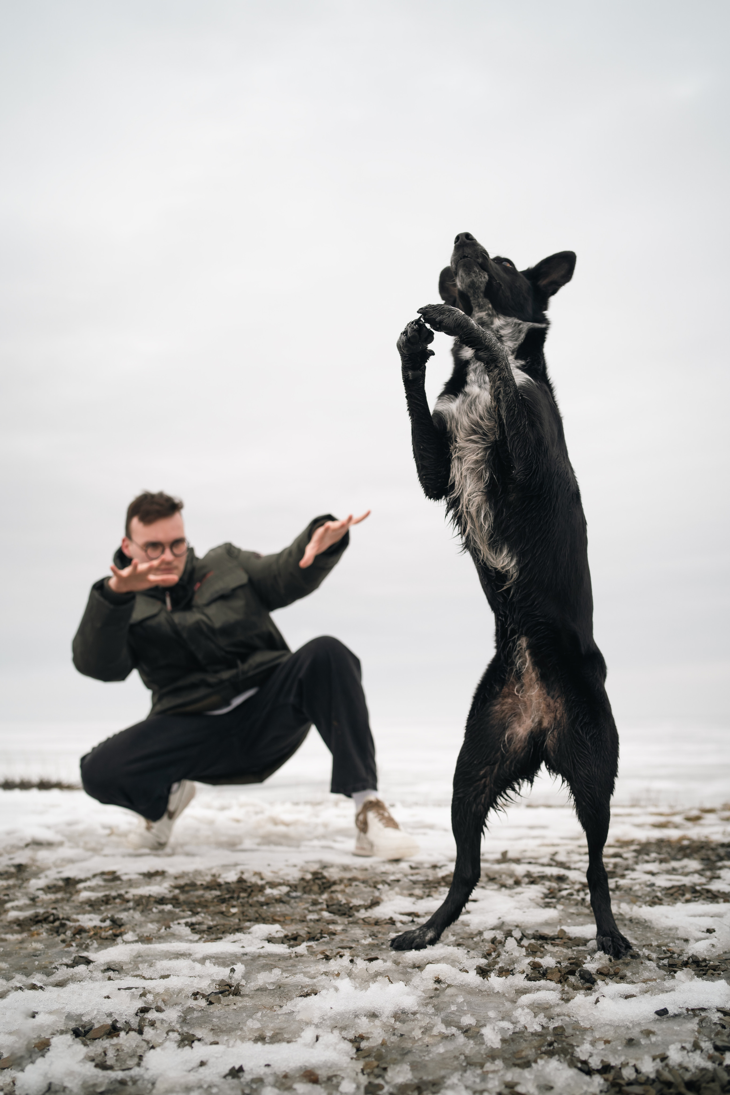Снежная Йота. Фотограф анималист