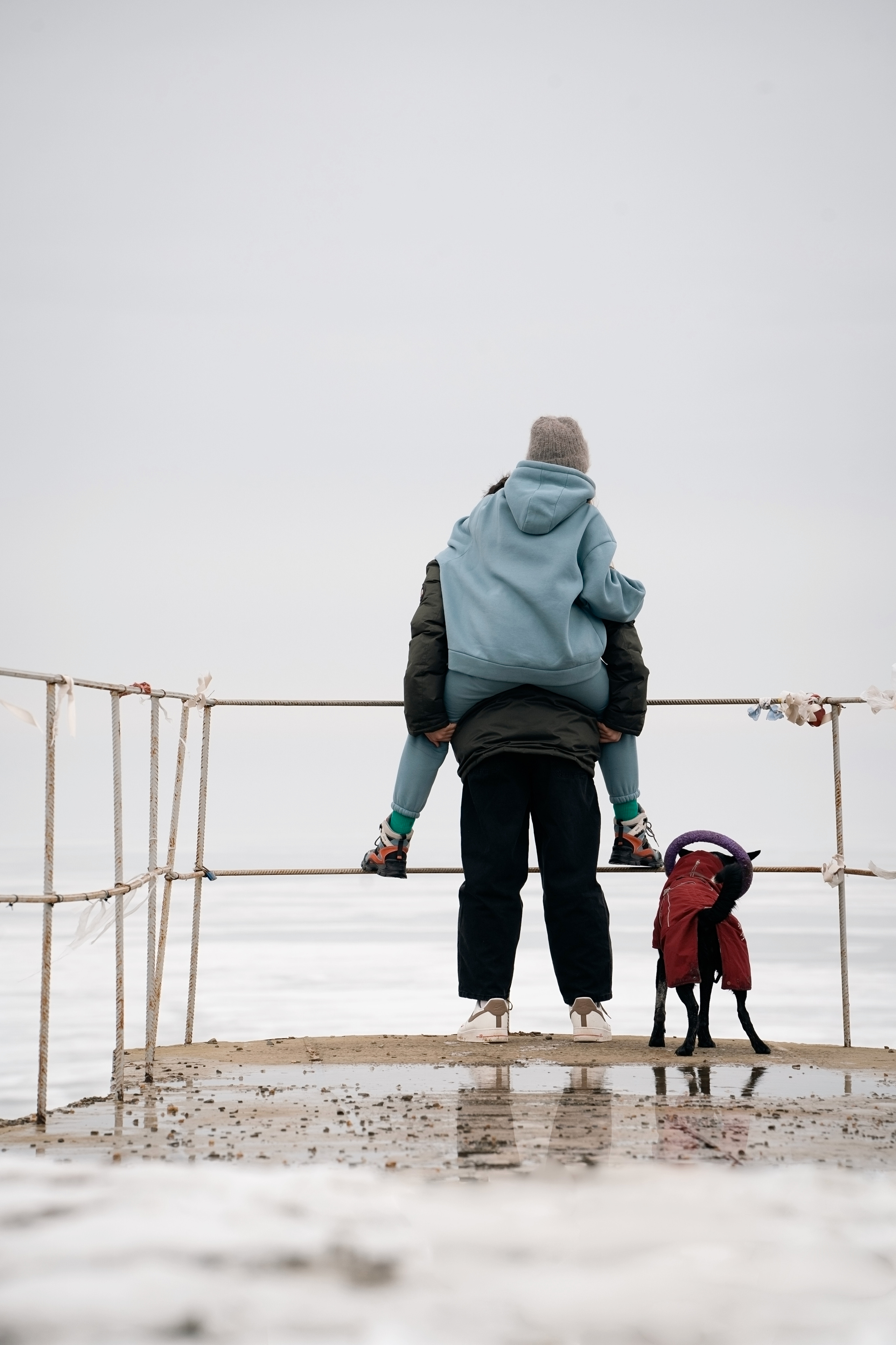 Снежная Йота. Фотограф анималист