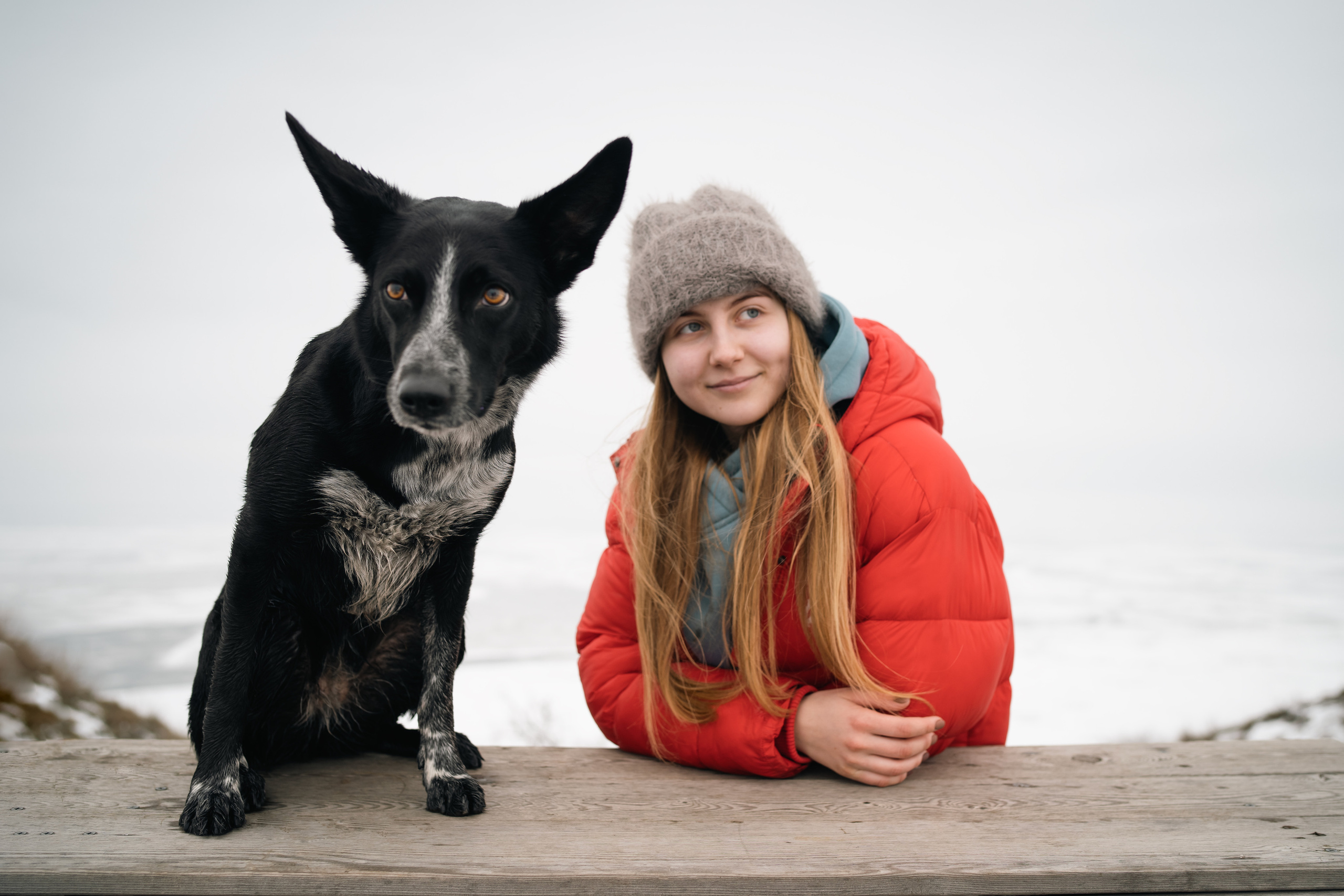 Снежная Йота. Фотограф анималист