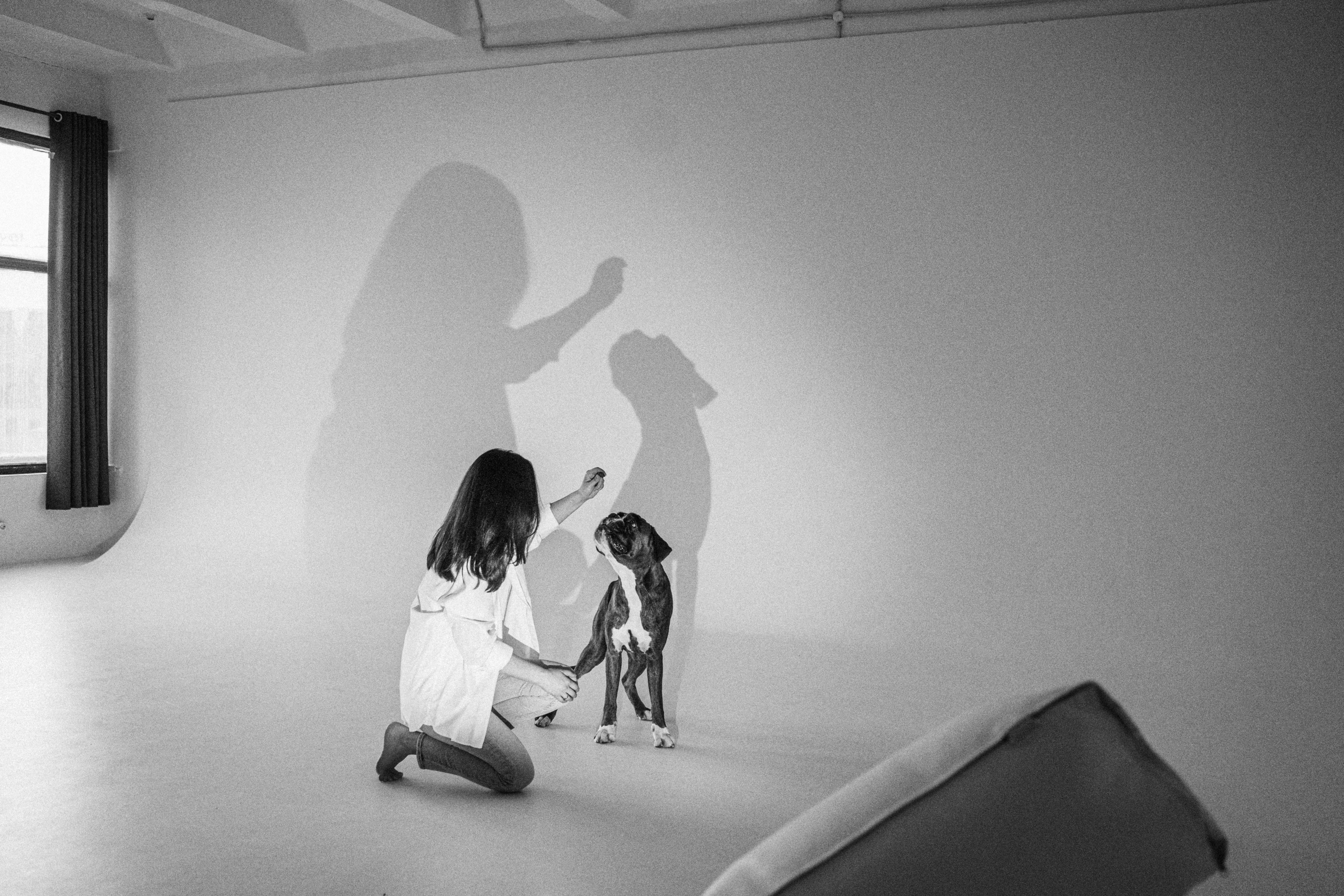 Анна, Максим и Марсель. Фотограф анималист в Москве и Санкт-Петербурге Свиридова Анна