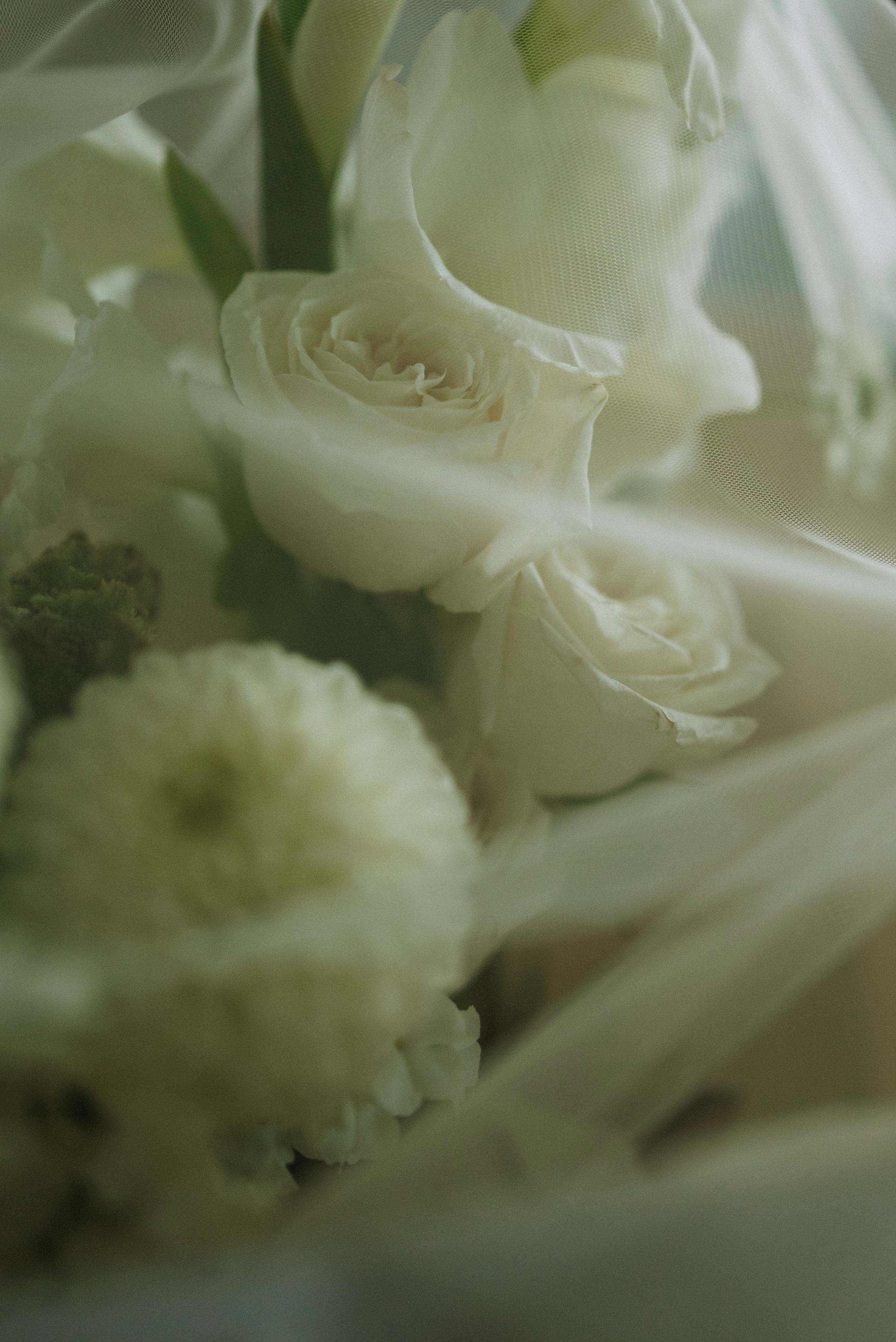 Петр и Катерина. Фотограф Костикова Анастасия Ростов-на-Дону