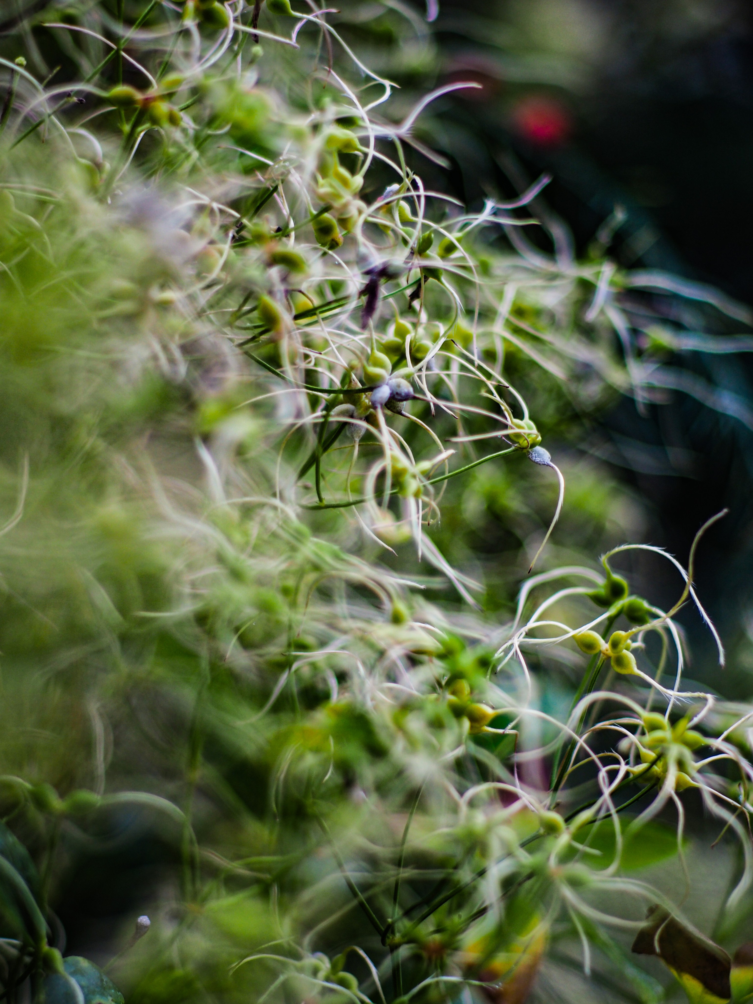 Природа/Животные