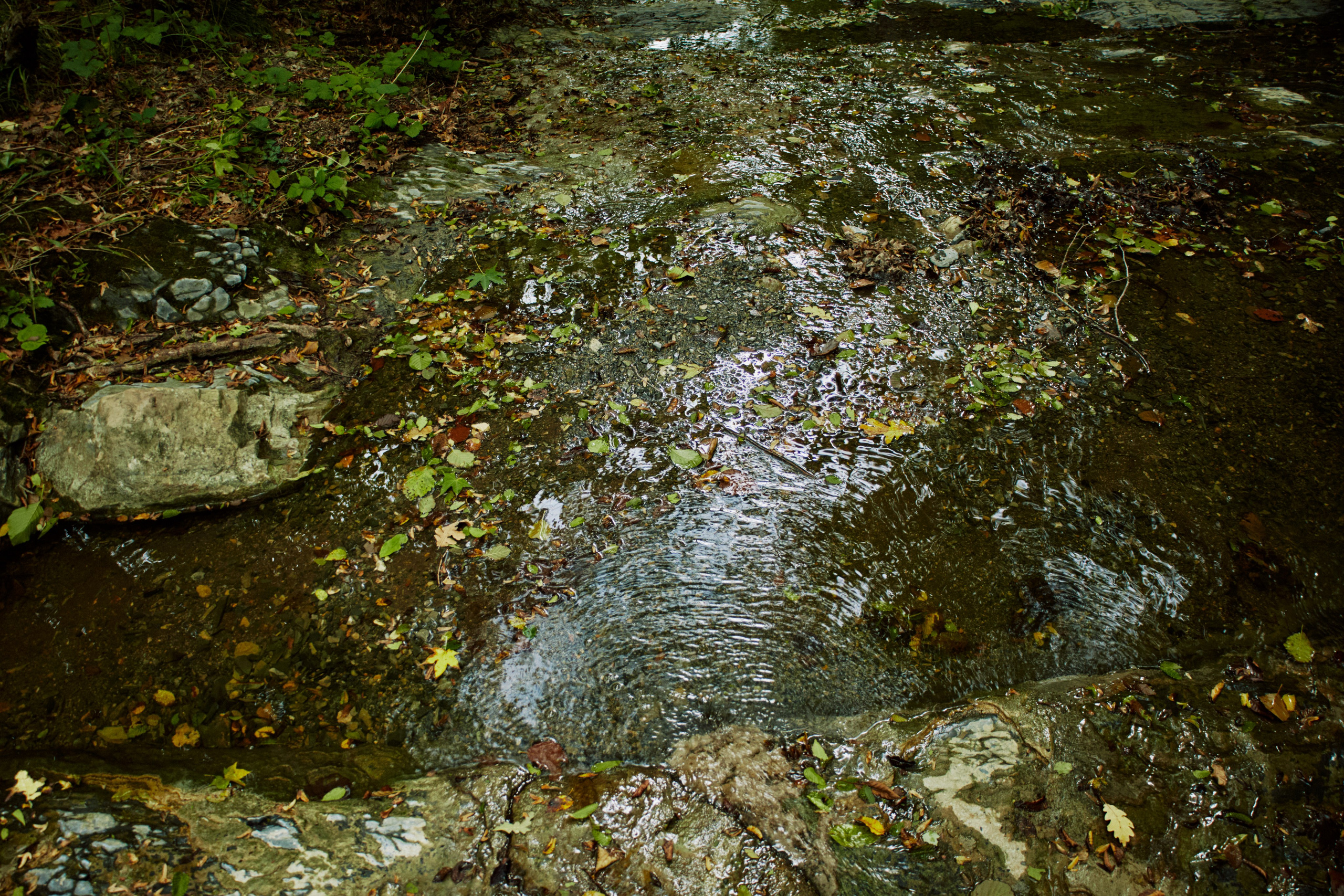 Пейзажи и уличная съёмка